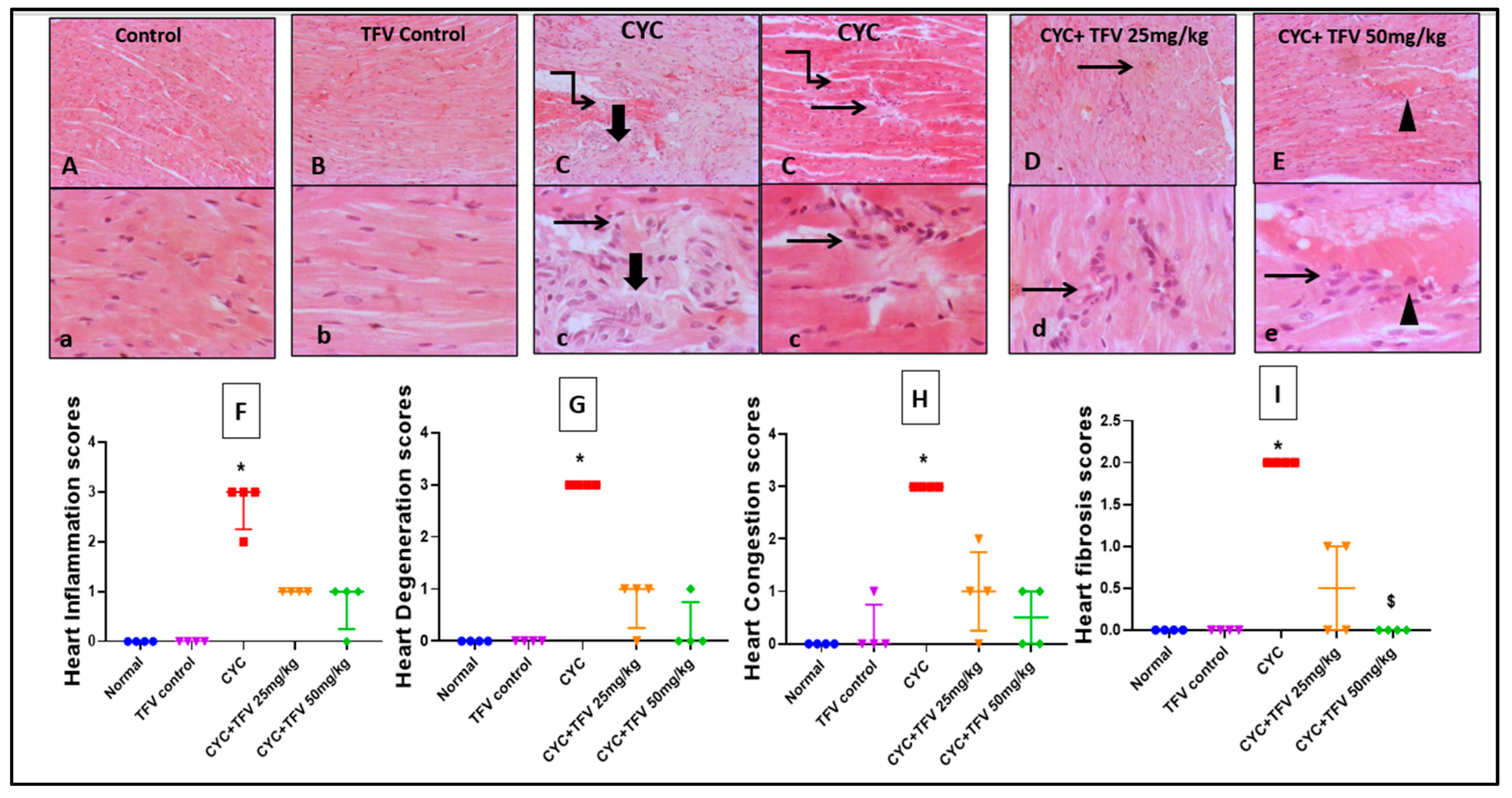 Pharmaceutics 17 01467 g004 Pharmaceutics 17 01467 g004