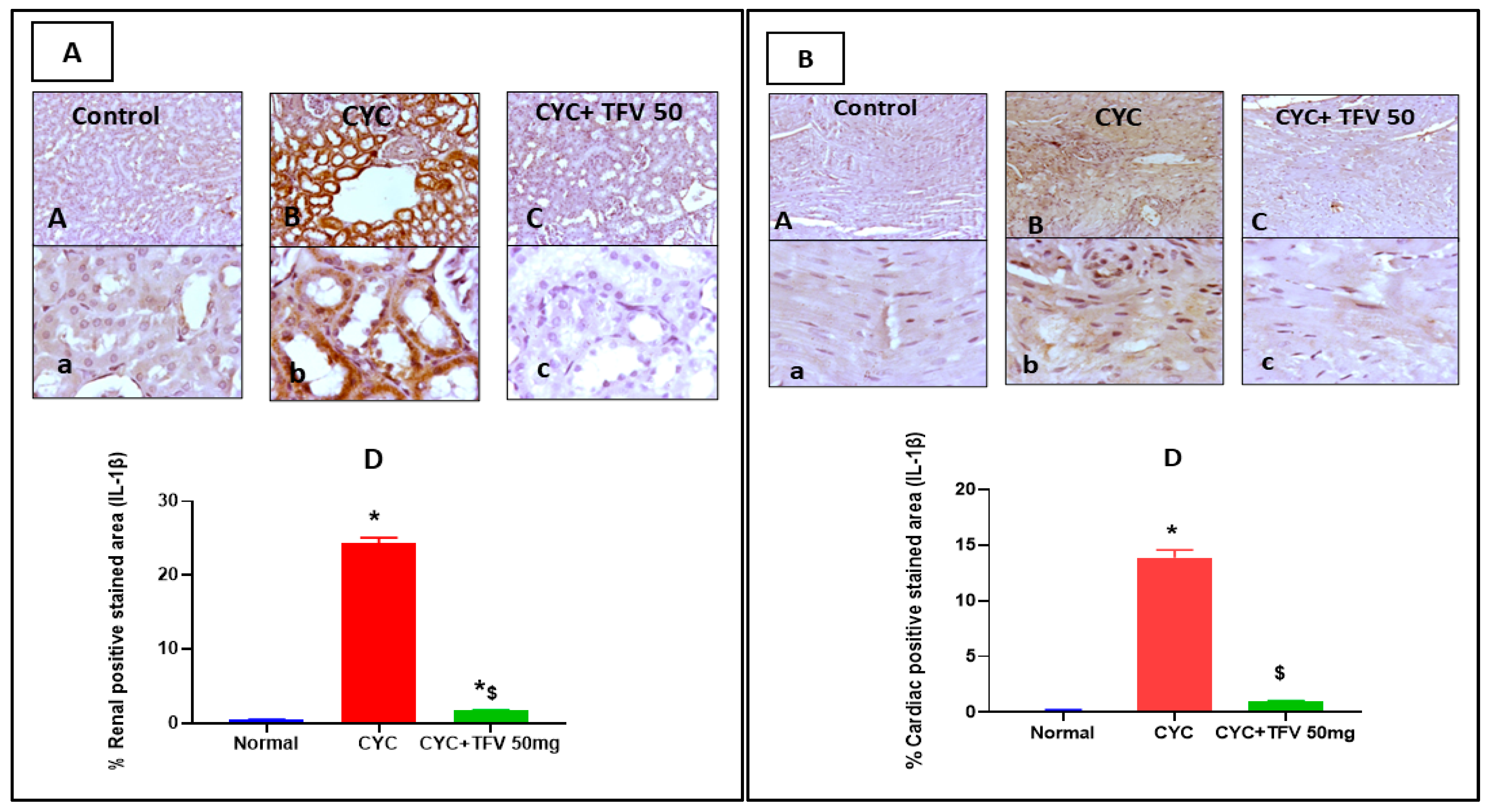 Pharmaceutics 17 01467 g007 Pharmaceutics 17 01467 g007