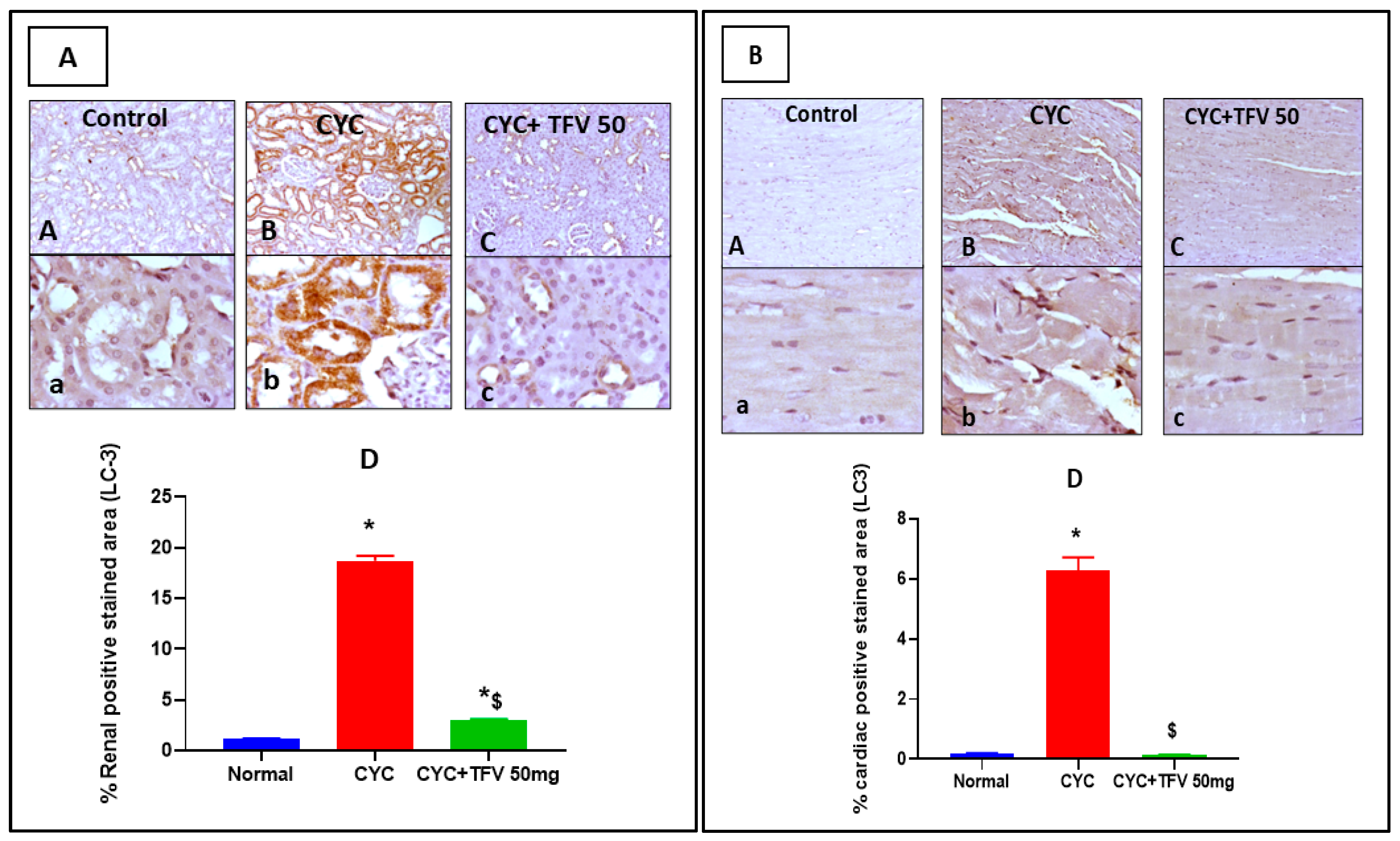 Pharmaceutics 17 01467 g008 Pharmaceutics 17 01467 g008