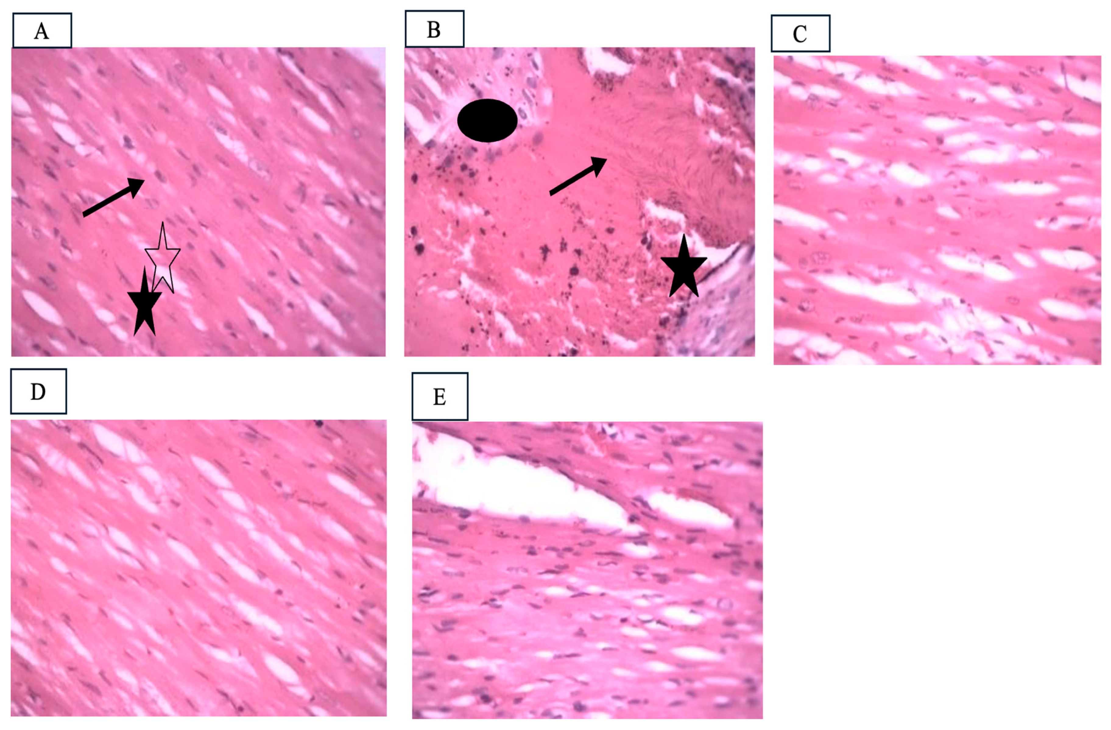 Pharmaceutics 17 01469 g004