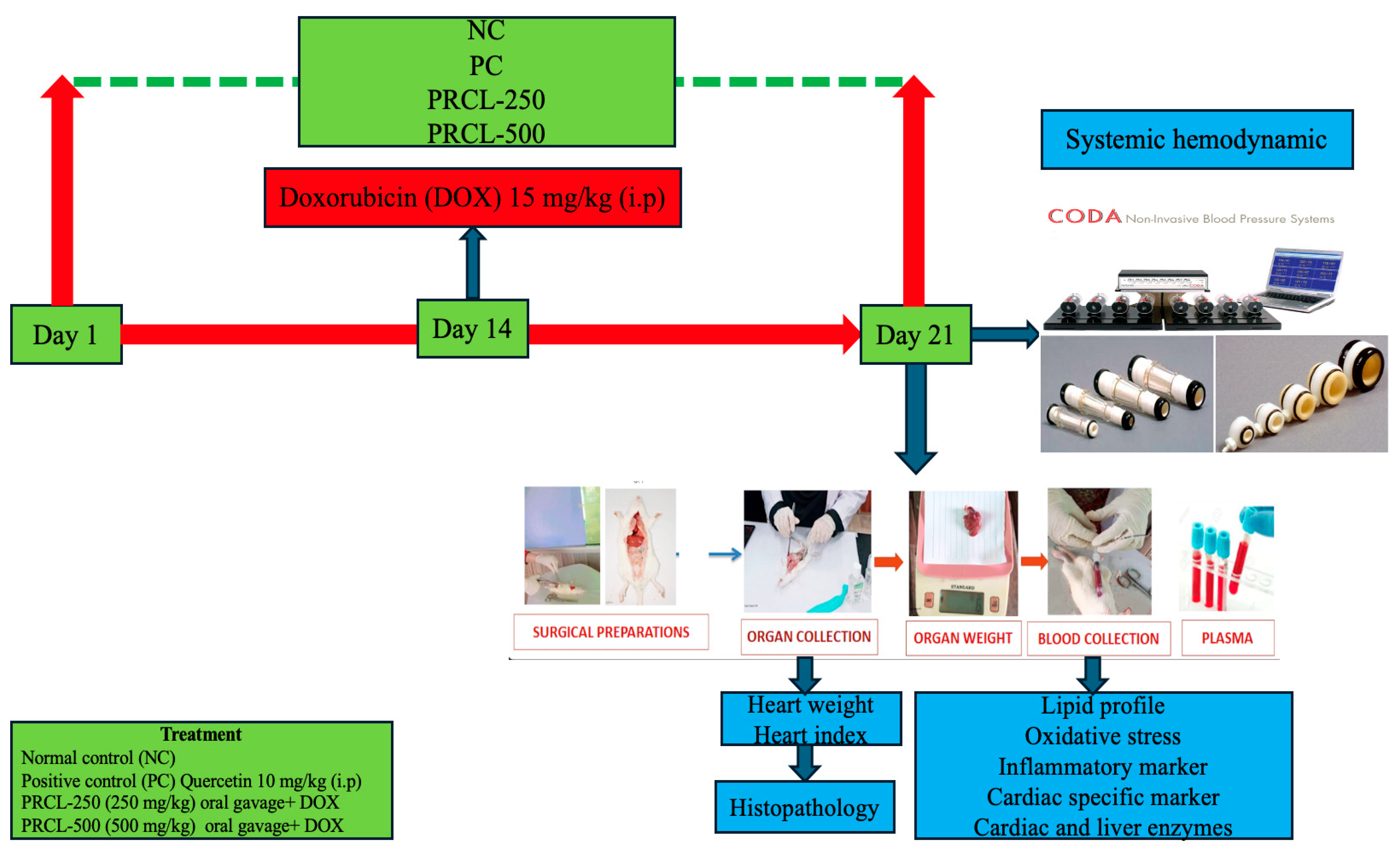 Pharmaceutics 17 01469 sch001