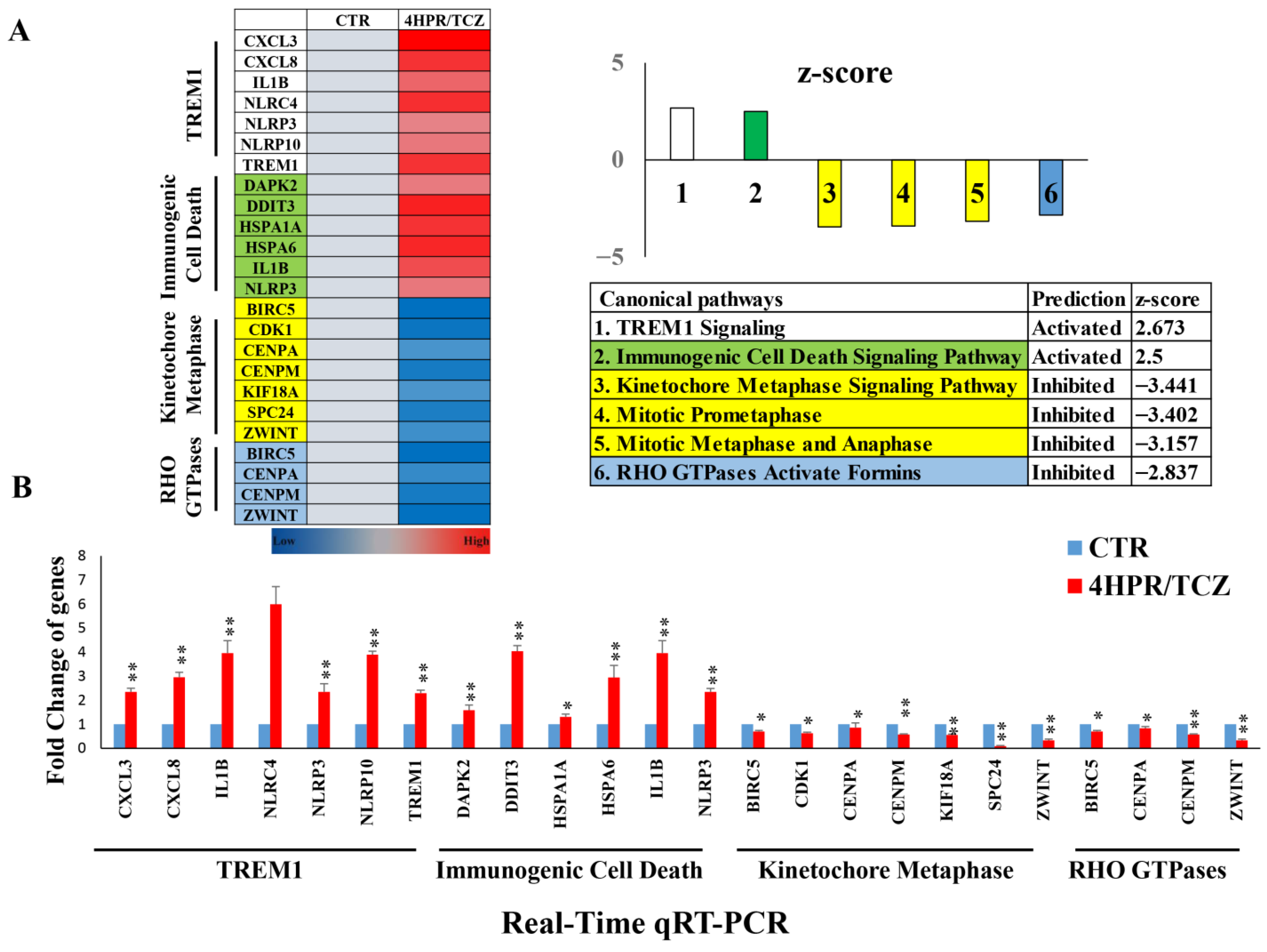 Pharmaceutics 17 01471 g002