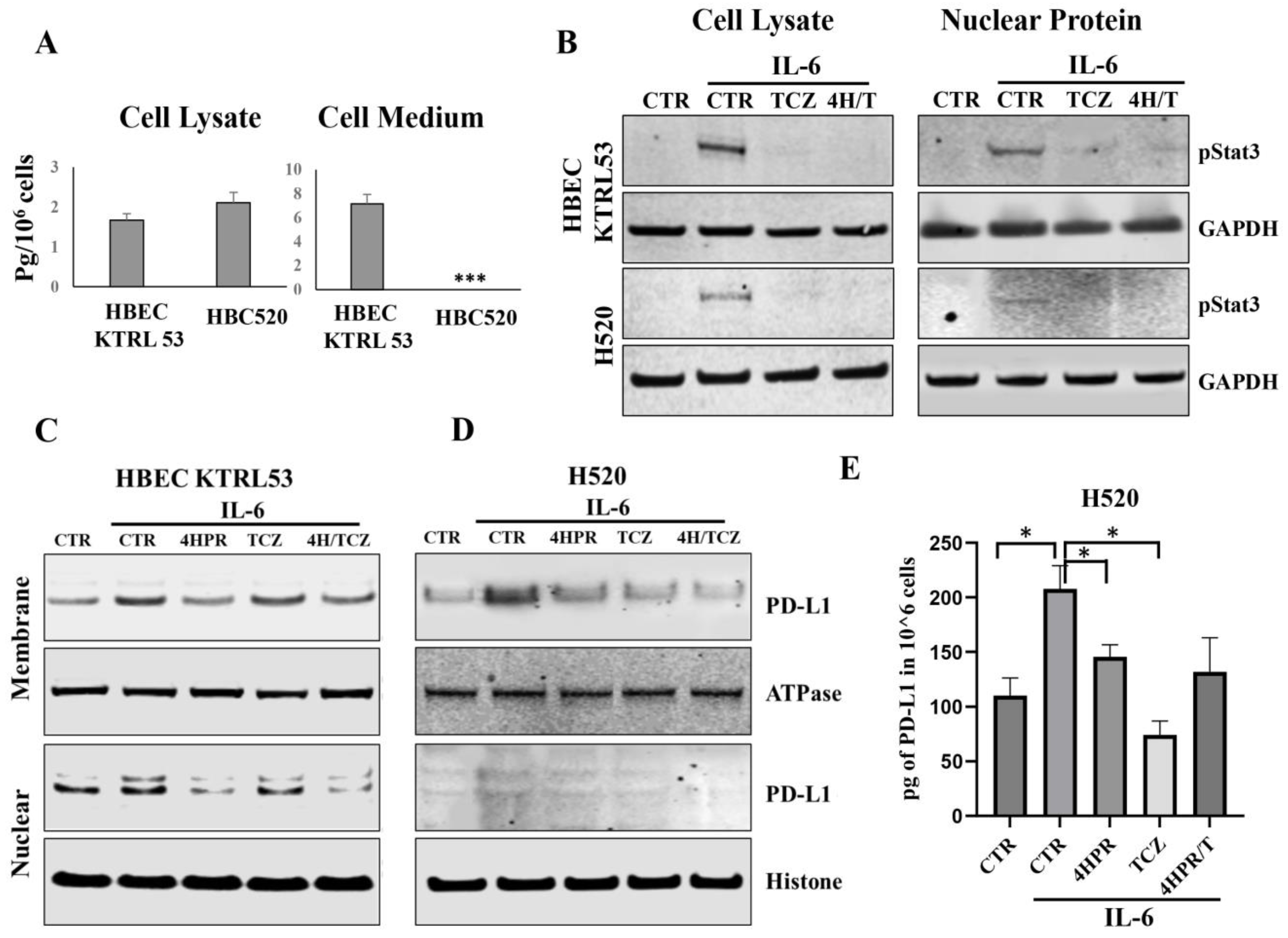 Pharmaceutics 17 01471 g003