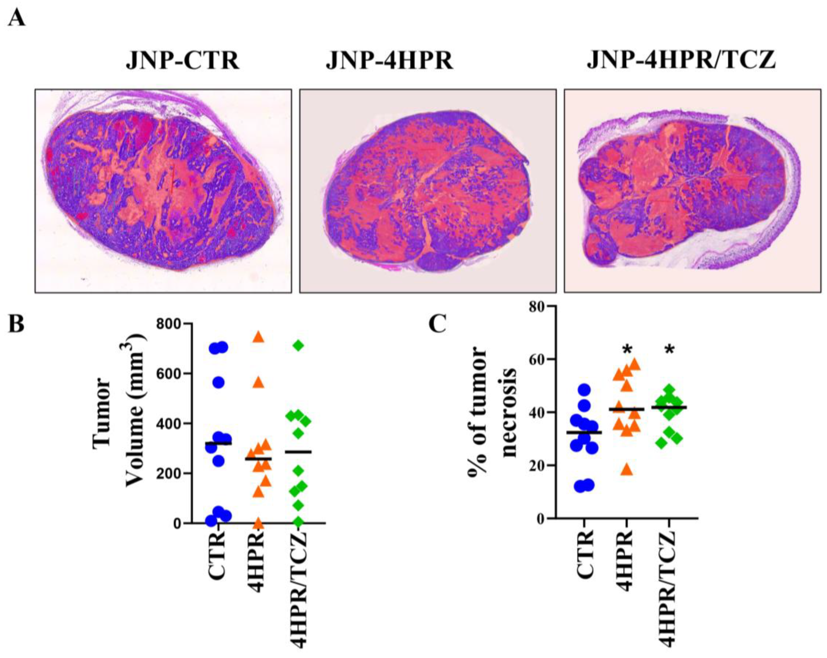 Pharmaceutics 17 01471 g005