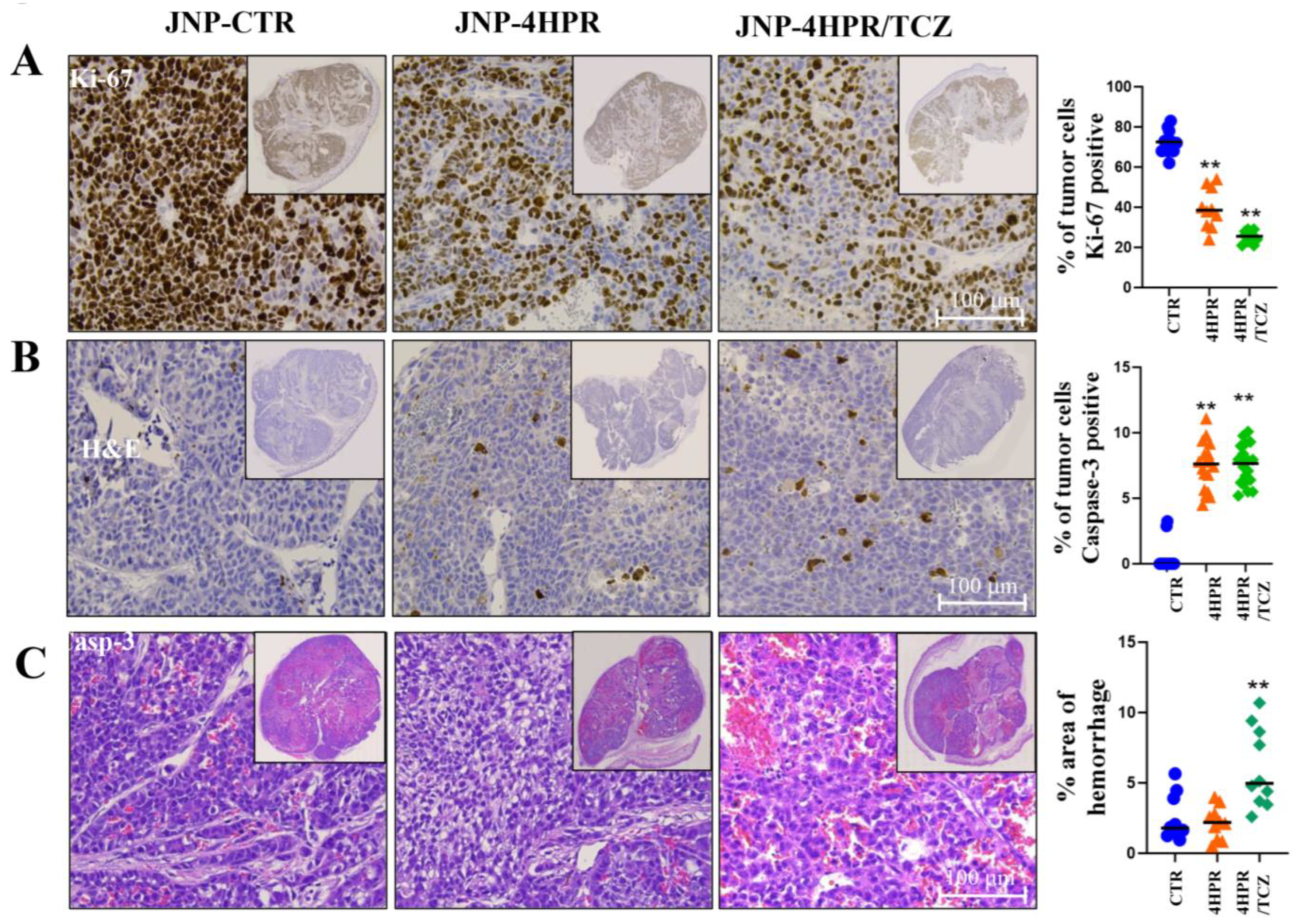 Pharmaceutics 17 01471 g006