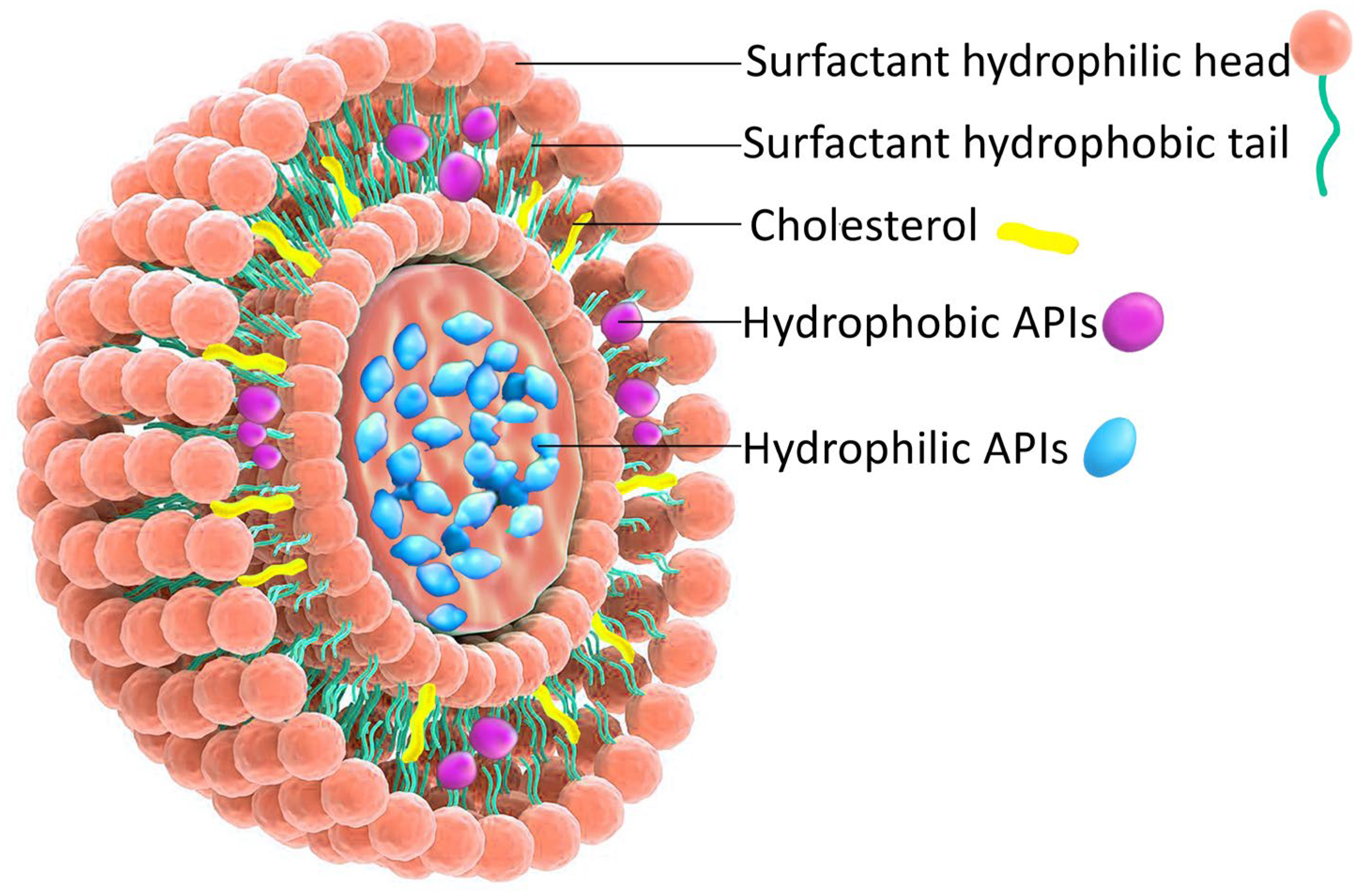 Pharmaceutics 17 01473 g001