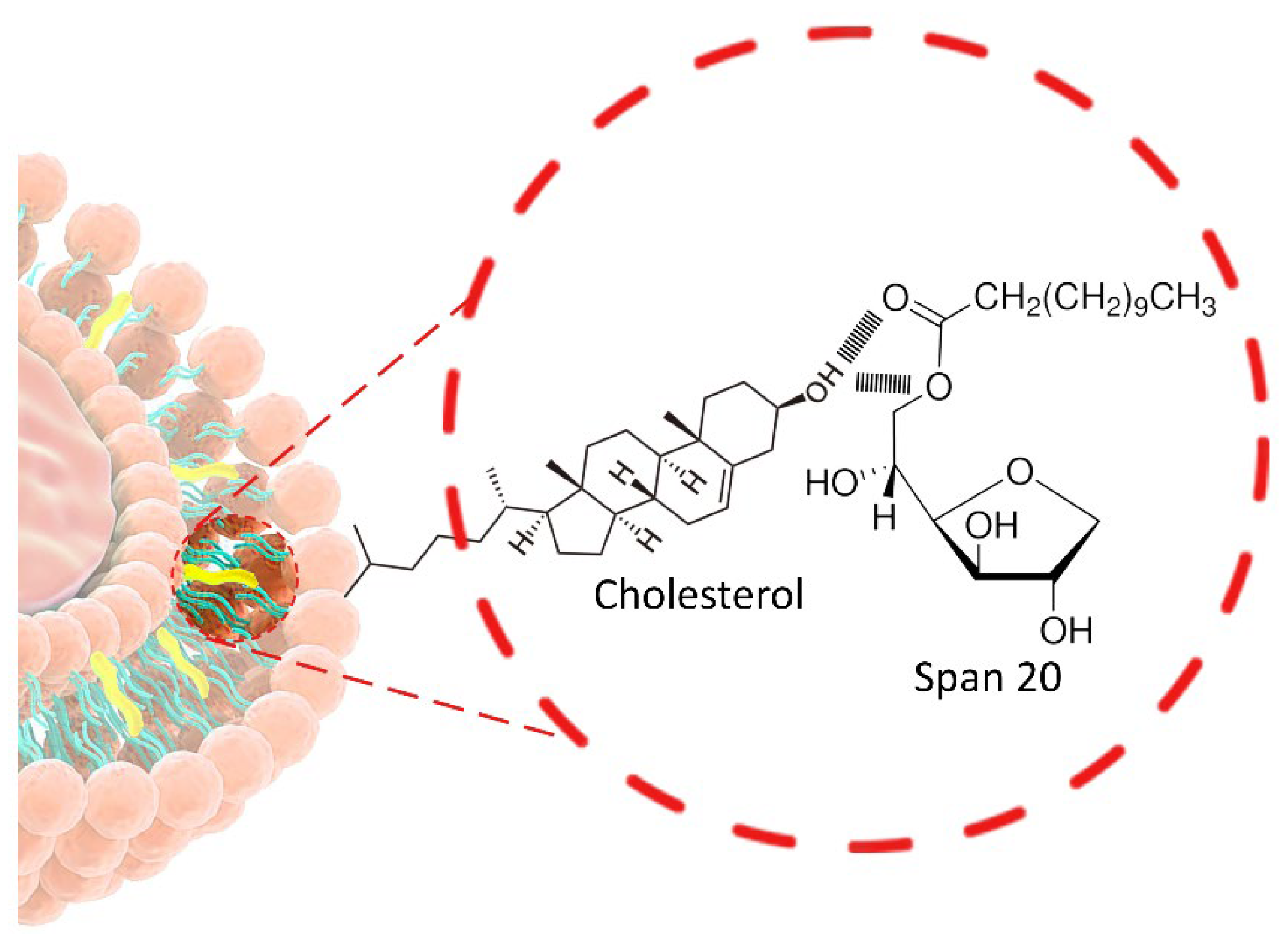 Pharmaceutics 17 01473 g005