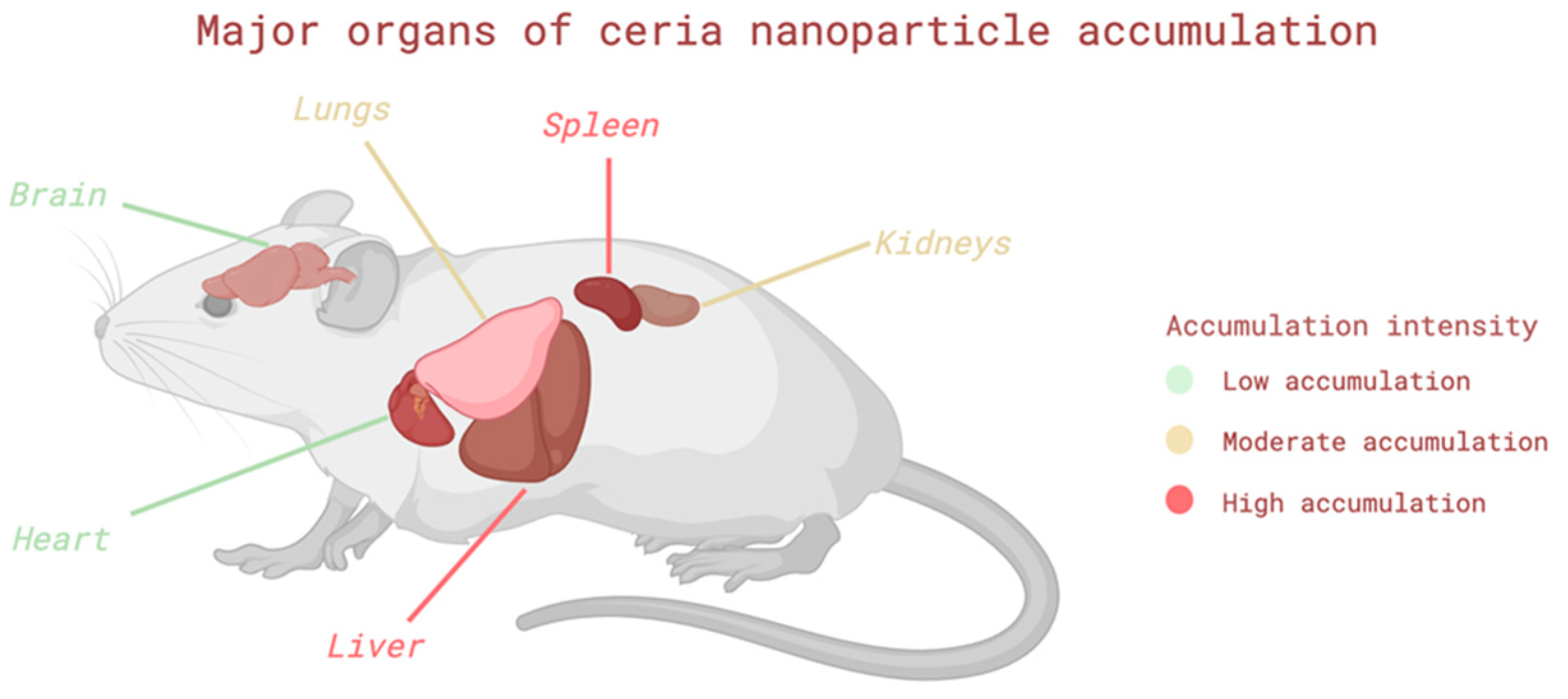 Pharmaceutics 17 01475 g002 Pharmaceutics 17 01475 g002