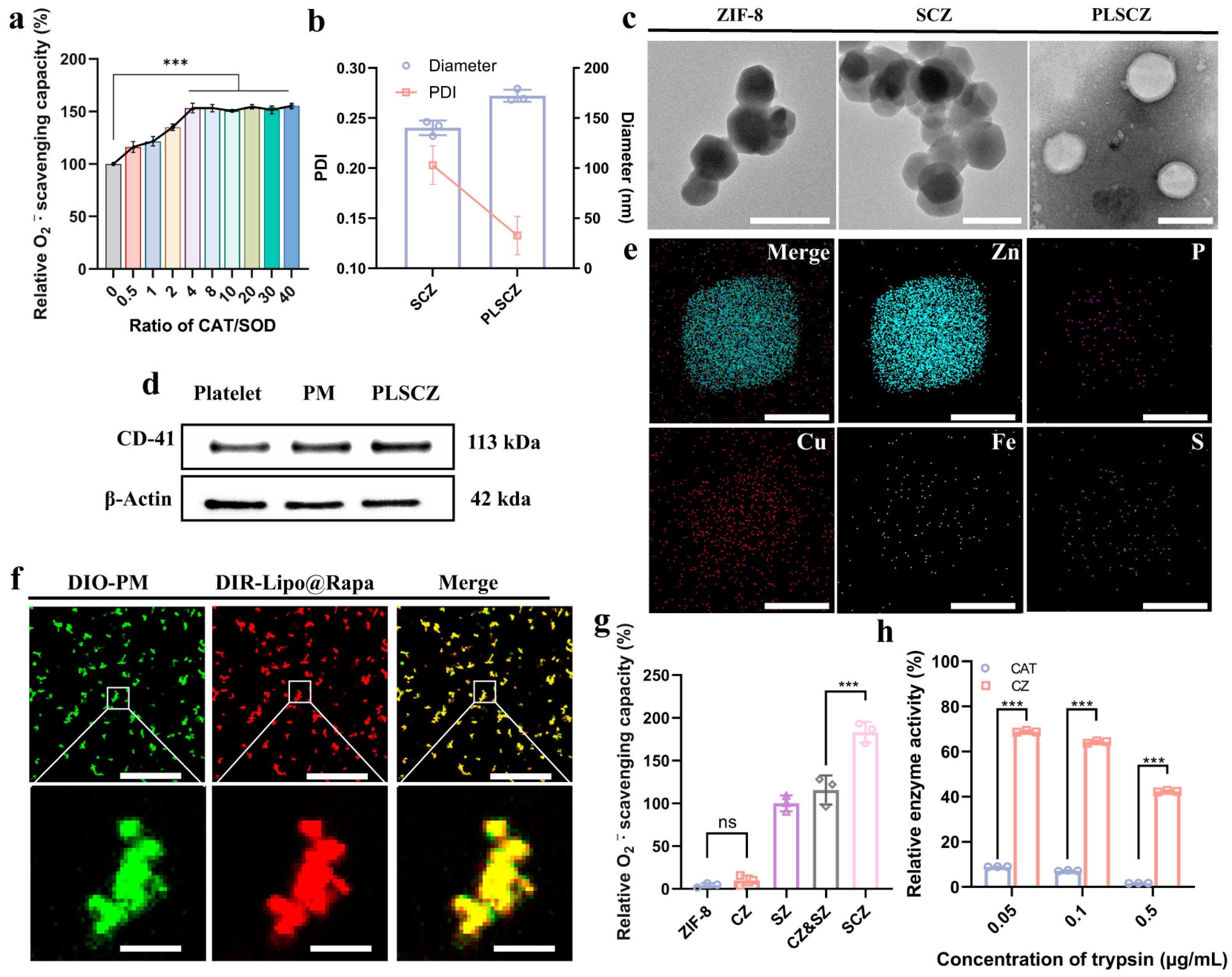 Pharmaceutics 17 01478 g002