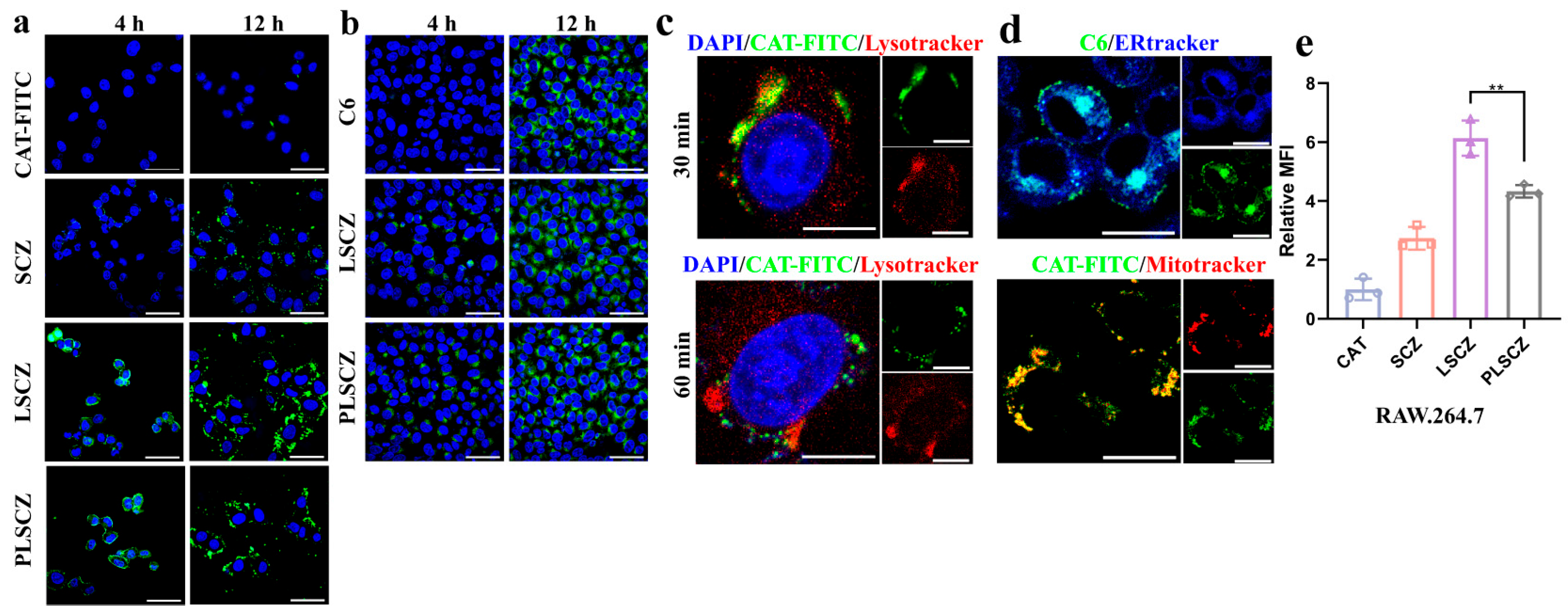 Pharmaceutics 17 01478 g004