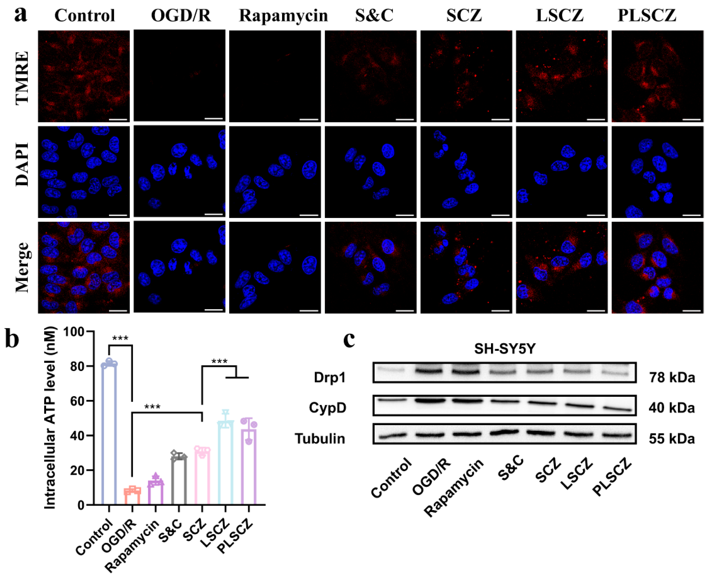 Pharmaceutics 17 01478 g005