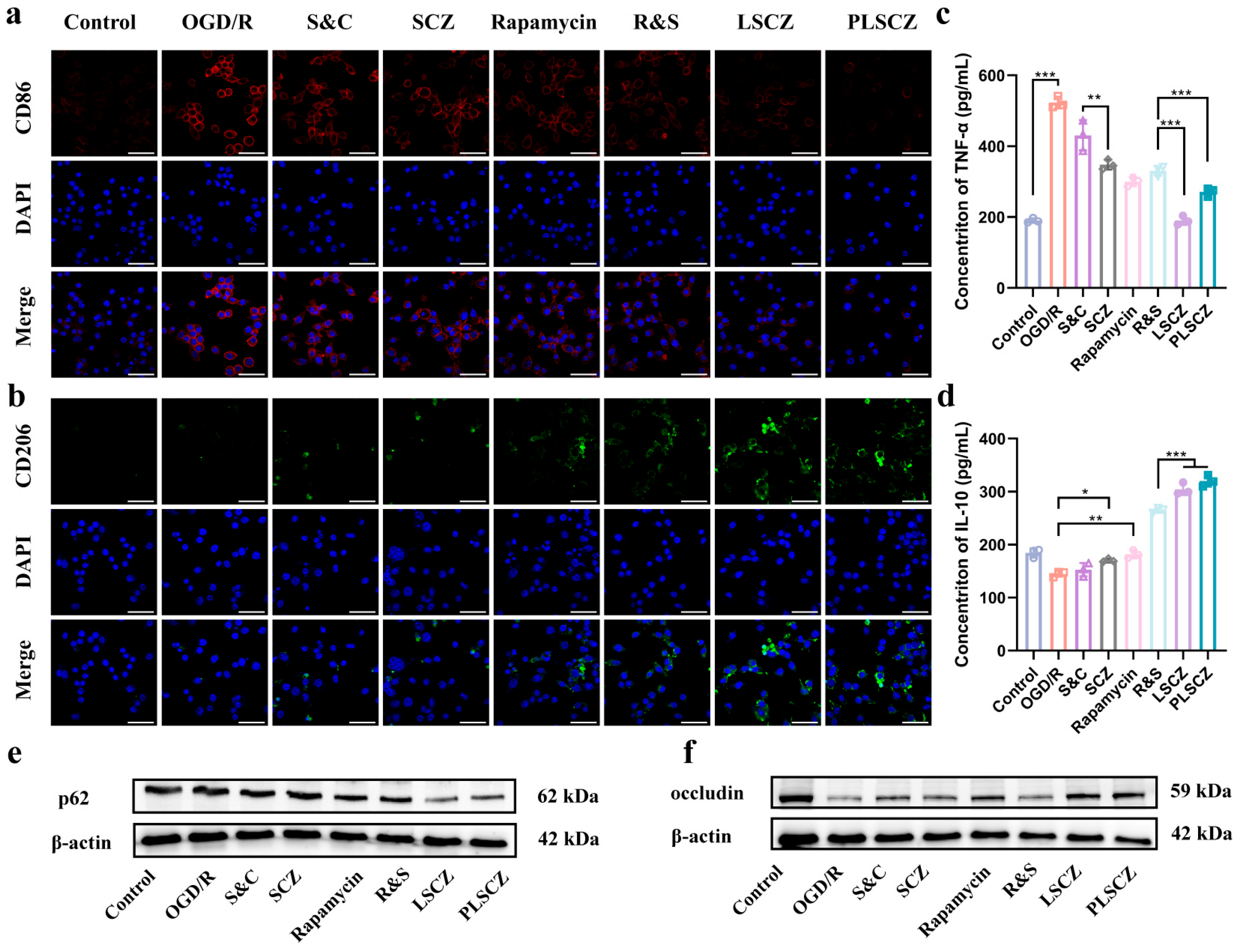 Pharmaceutics 17 01478 g006