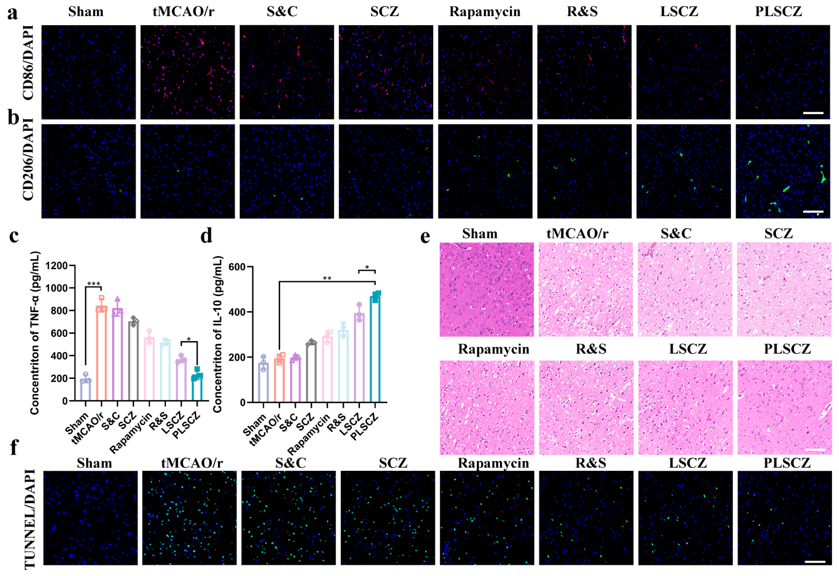 Pharmaceutics 17 01478 g009