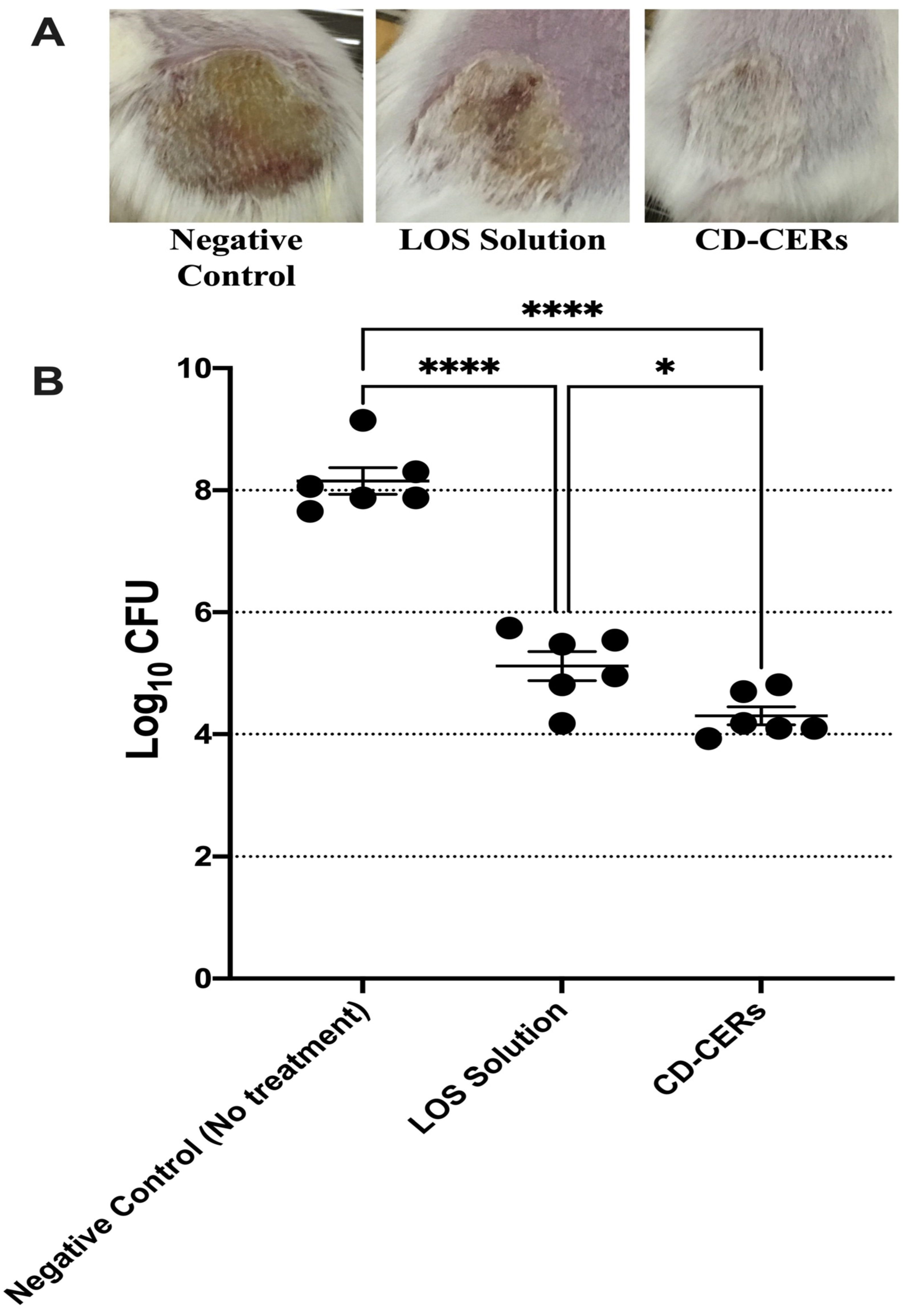 Pharmaceutics 17 01483 g008
