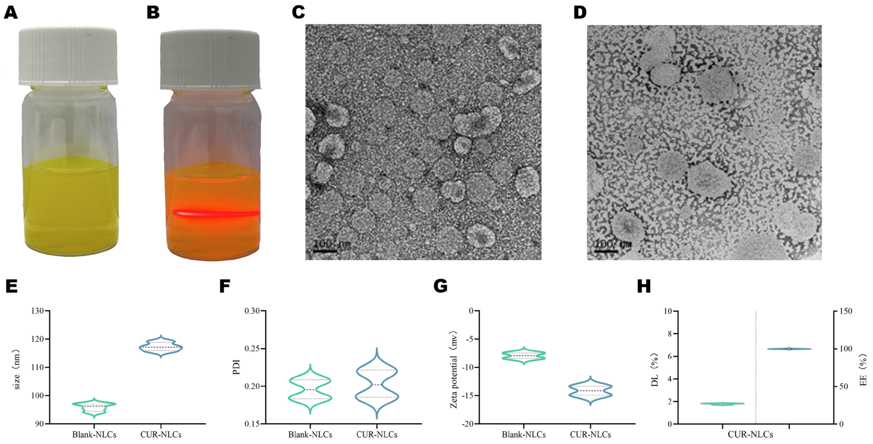Pharmaceutics 17 01484 g001