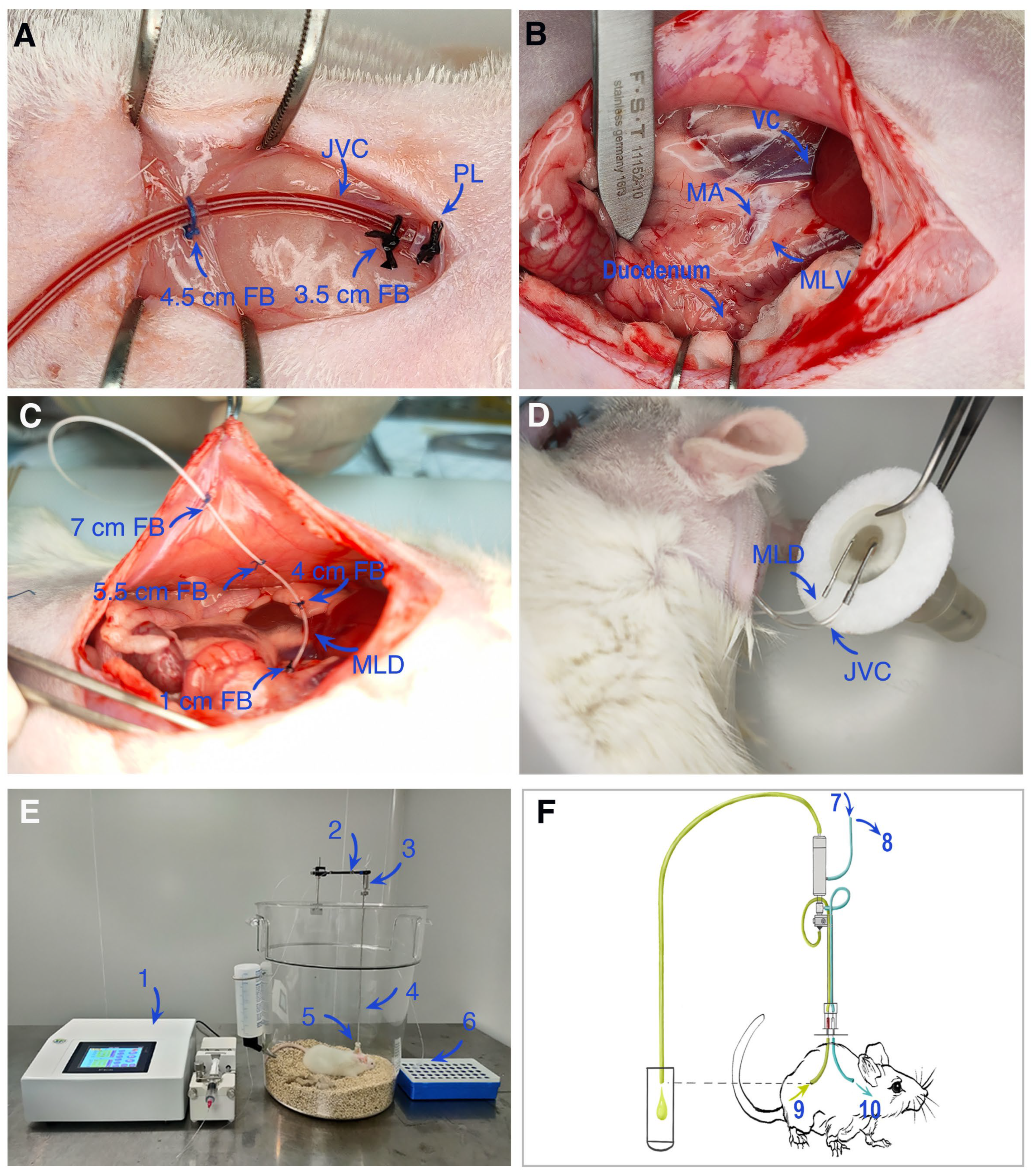 Pharmaceutics 17 01484 g003