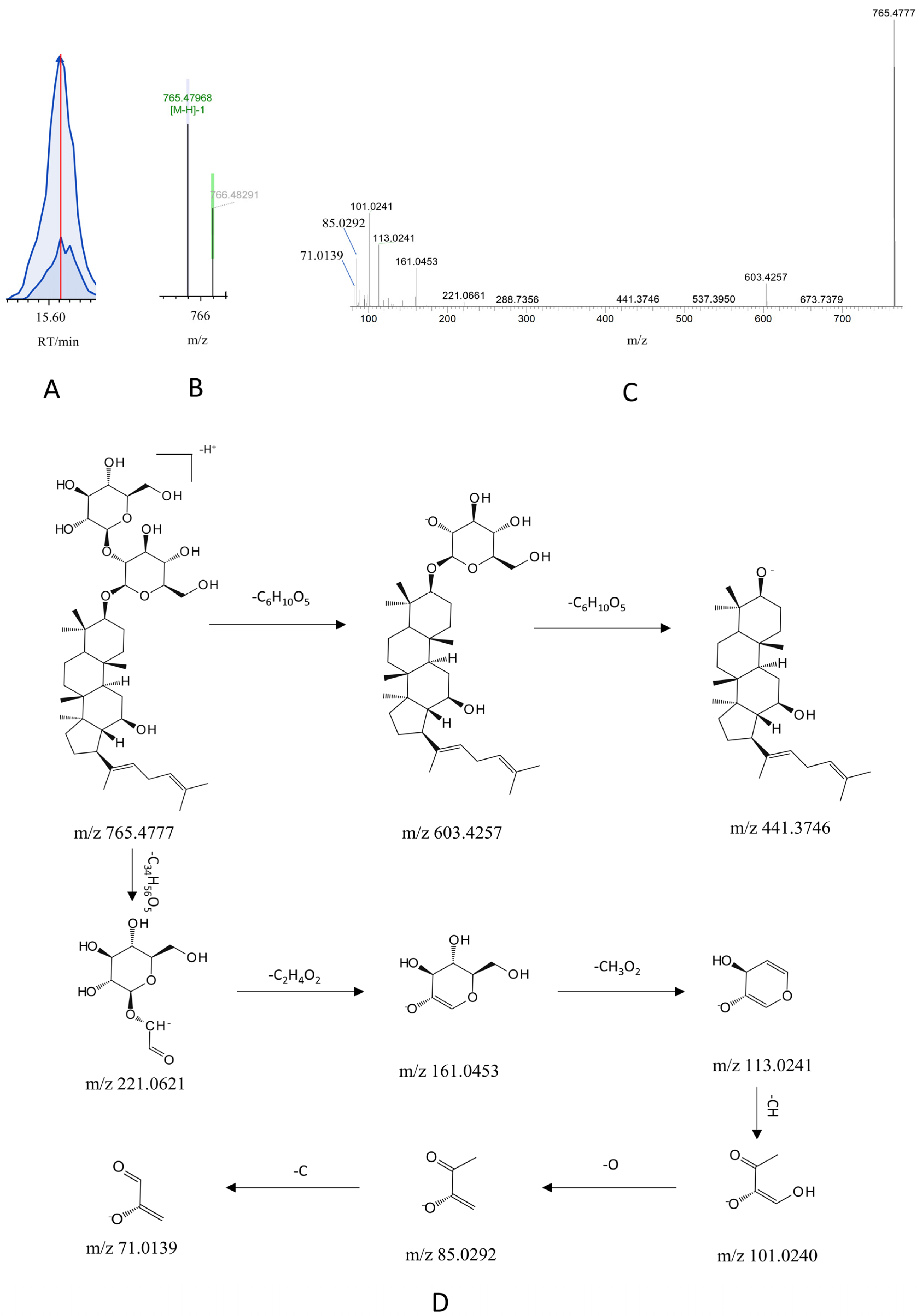 Pharmaceutics 17 01485 g005