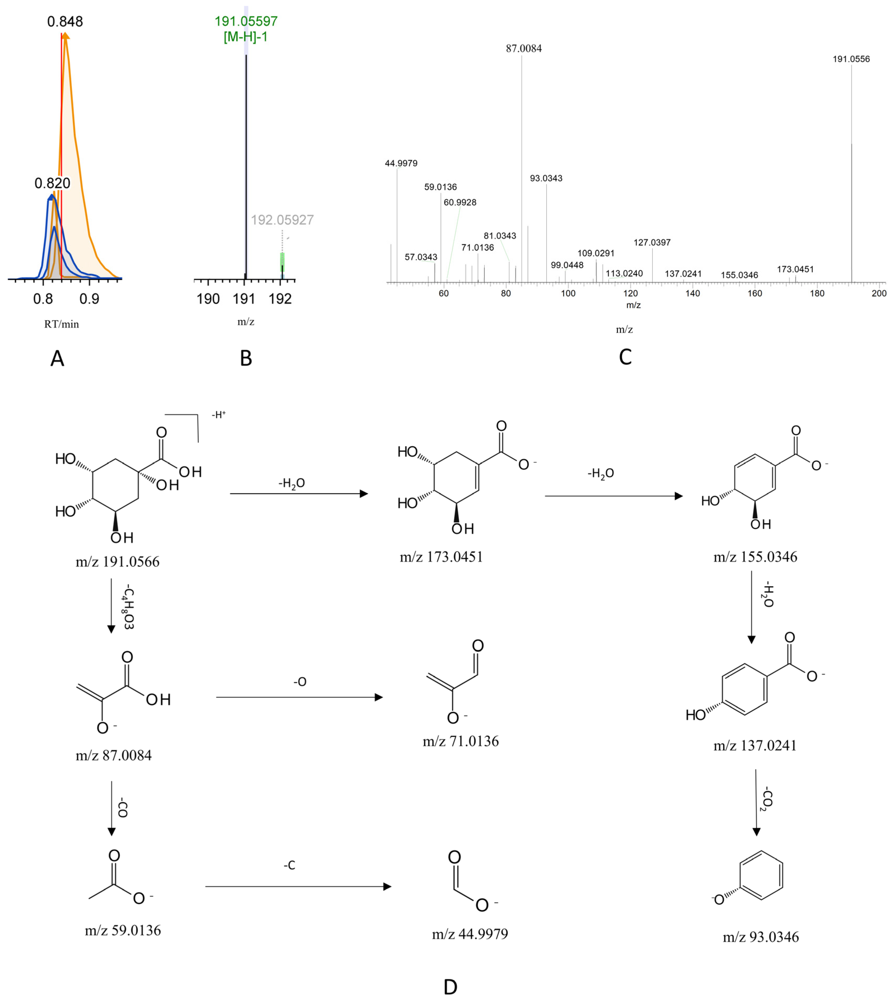 Pharmaceutics 17 01485 g006