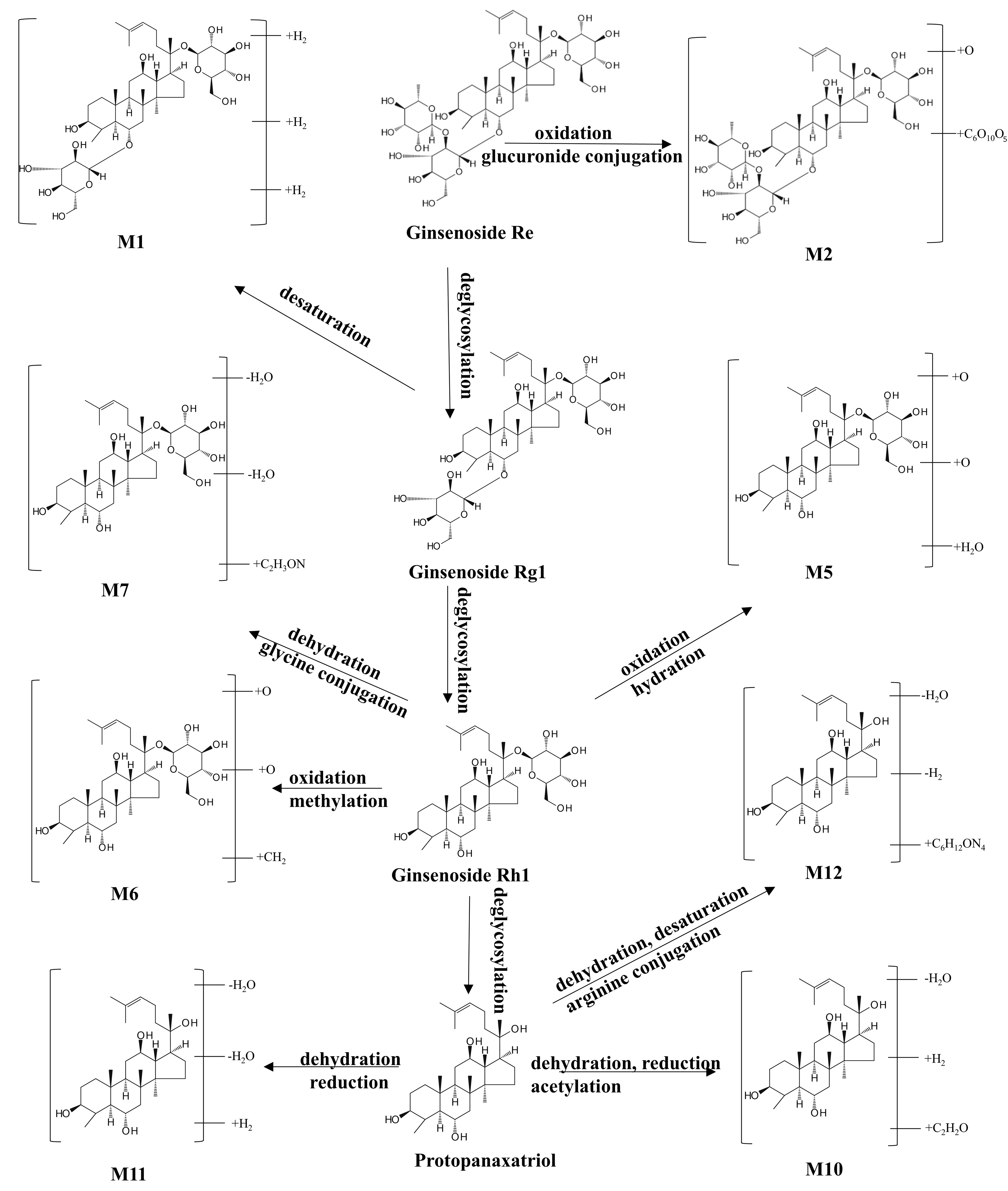 Pharmaceutics 17 01485 g008