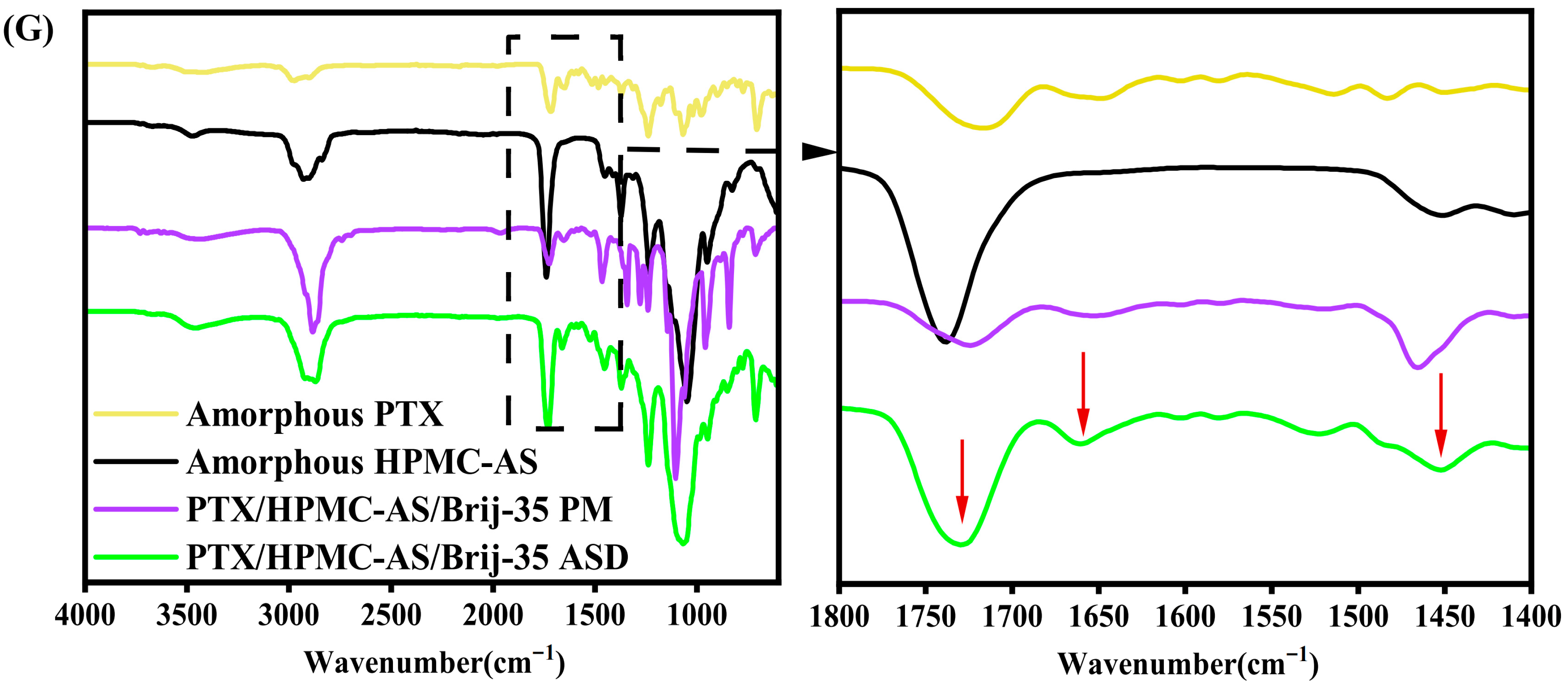 Pharmaceutics 17 01487 g003c