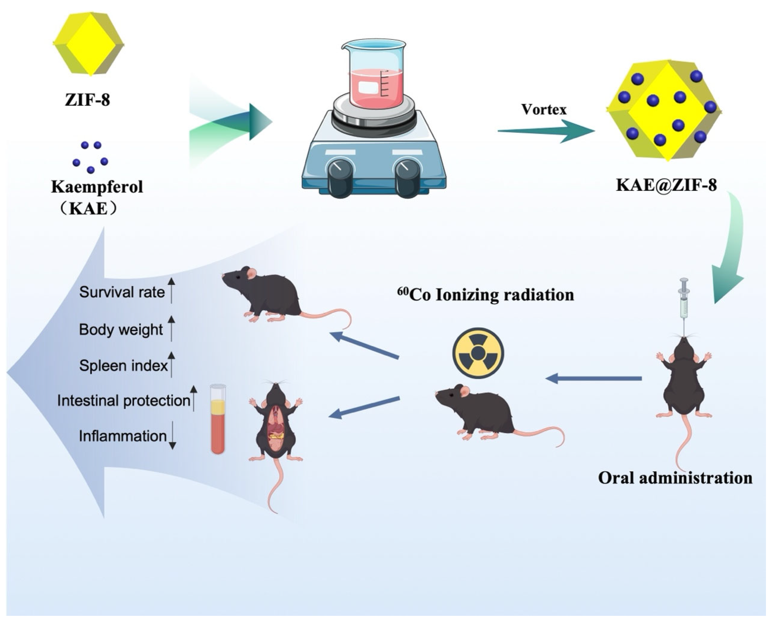 Pharmaceutics 17 01489 g001