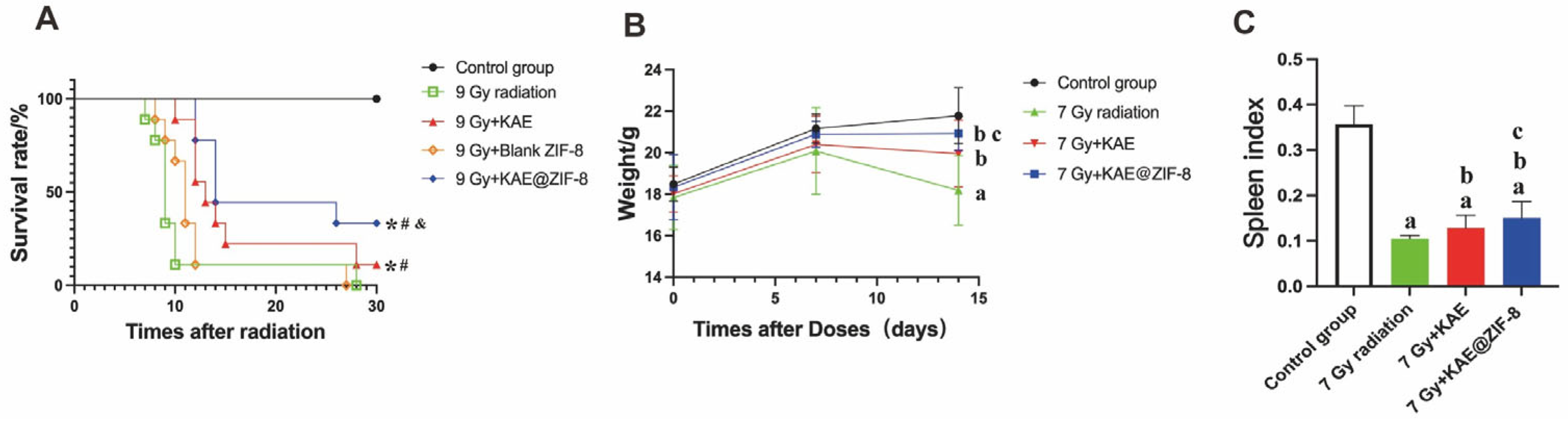 Pharmaceutics 17 01489 g006