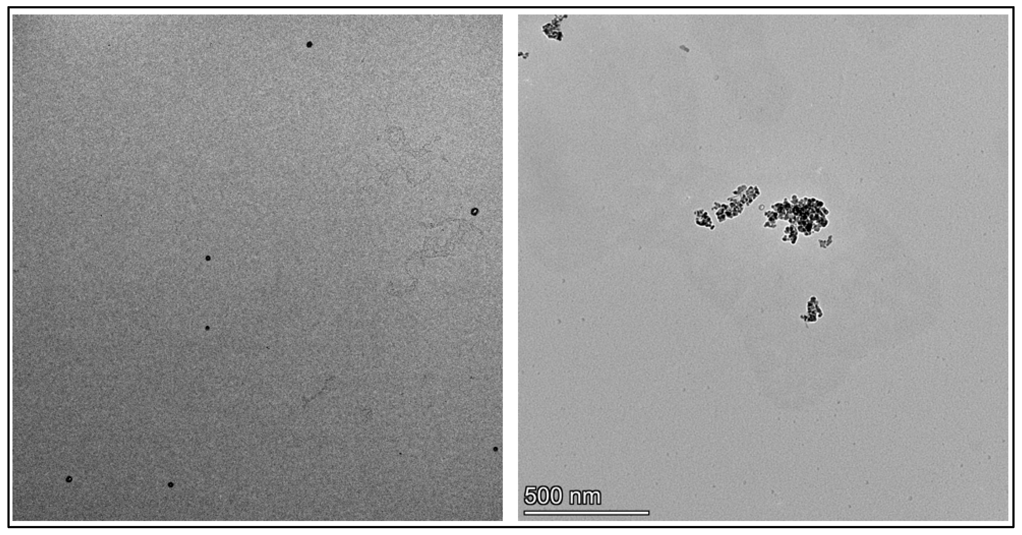 Pharmaceutics 17 01490 g002