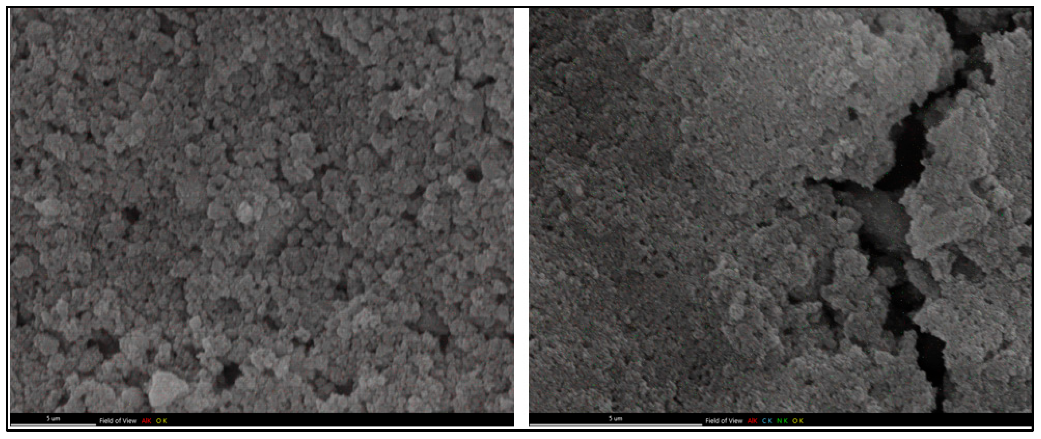 Pharmaceutics 17 01490 g003