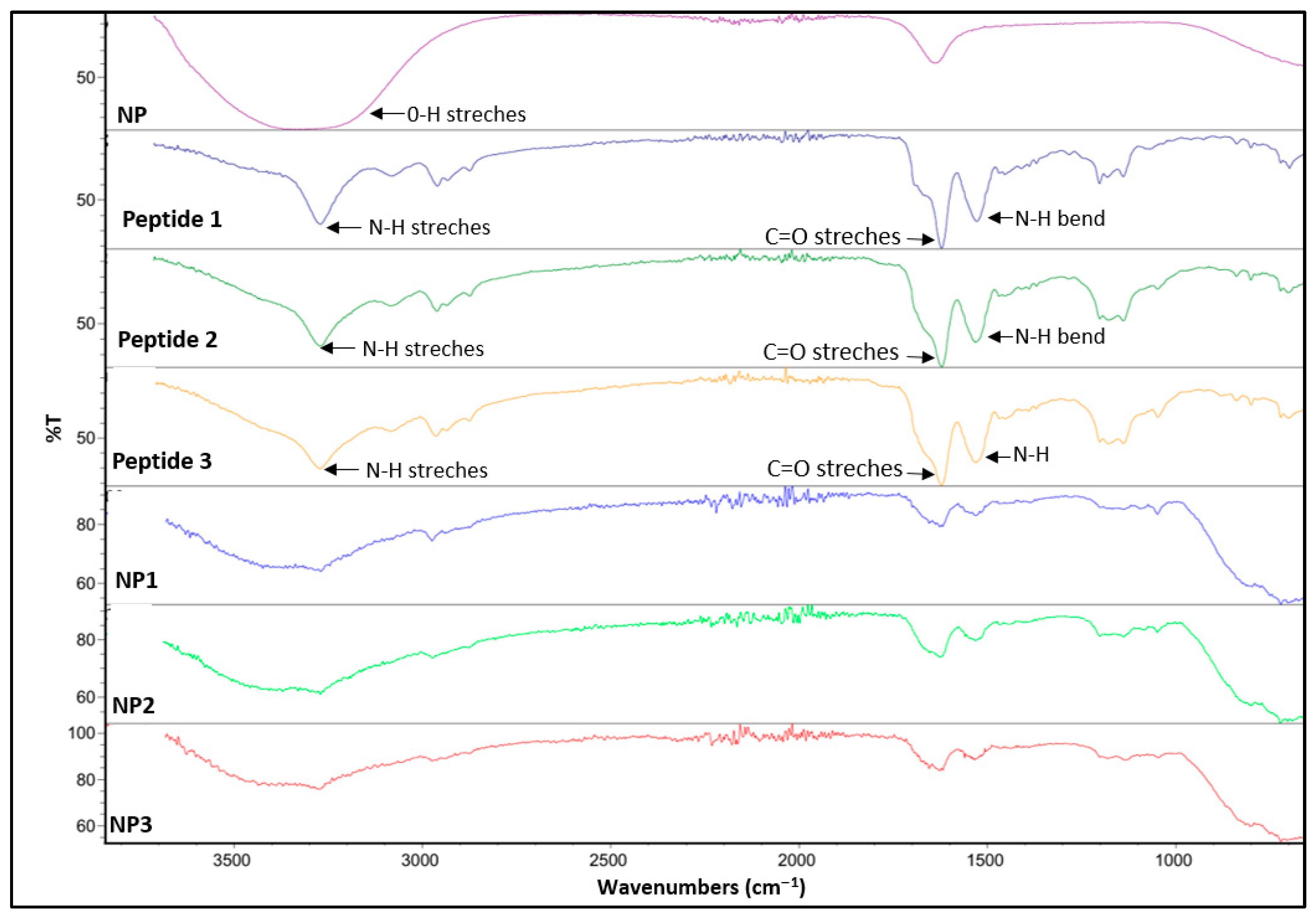 Pharmaceutics 17 01490 g005