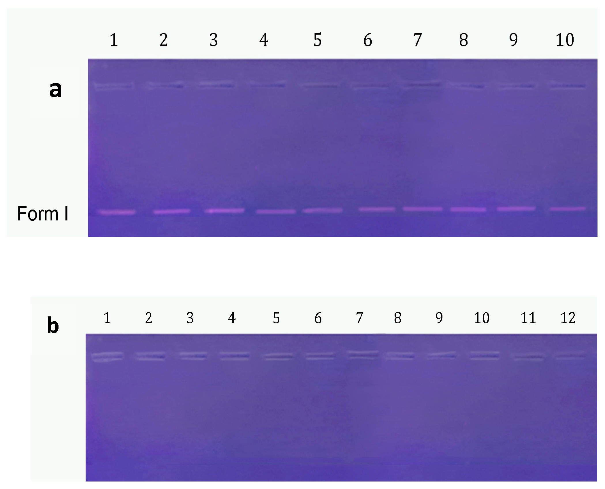 Pharmaceutics 17 01490 g009