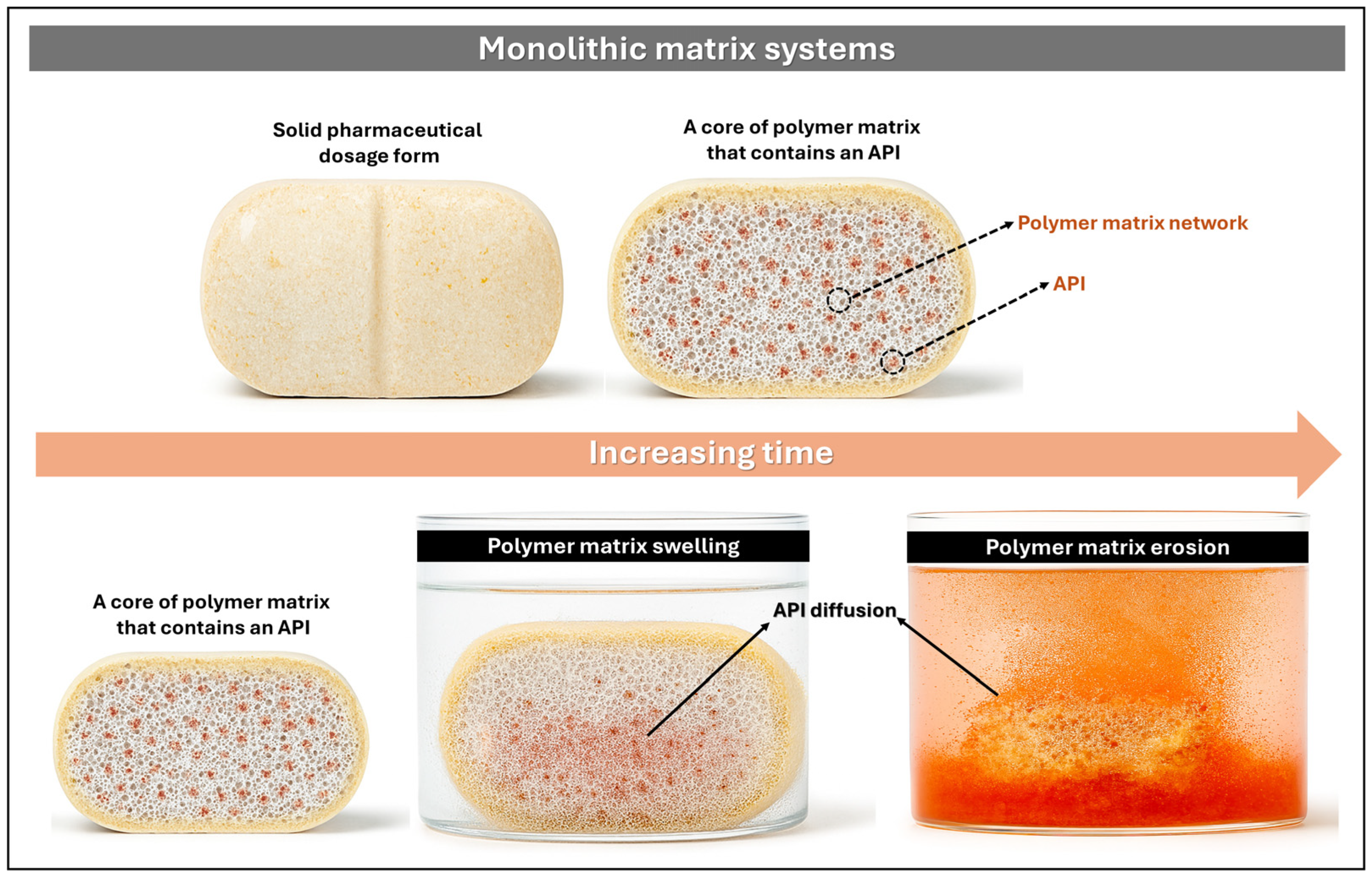 Pharmaceutics 17 01491 g003 Pharmaceutics 17 01491 g003
