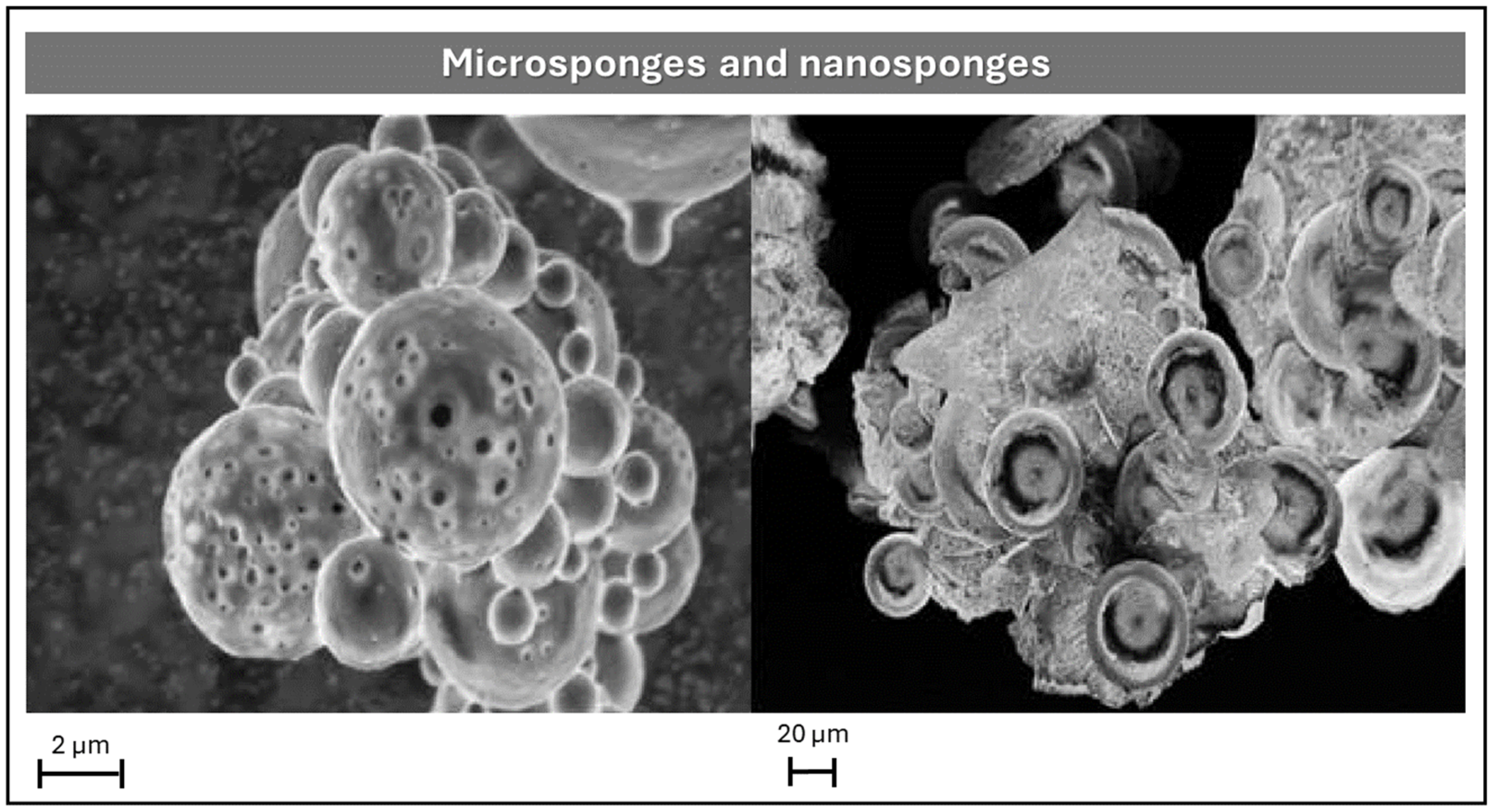 Pharmaceutics 17 01491 g005 Pharmaceutics 17 01491 g005