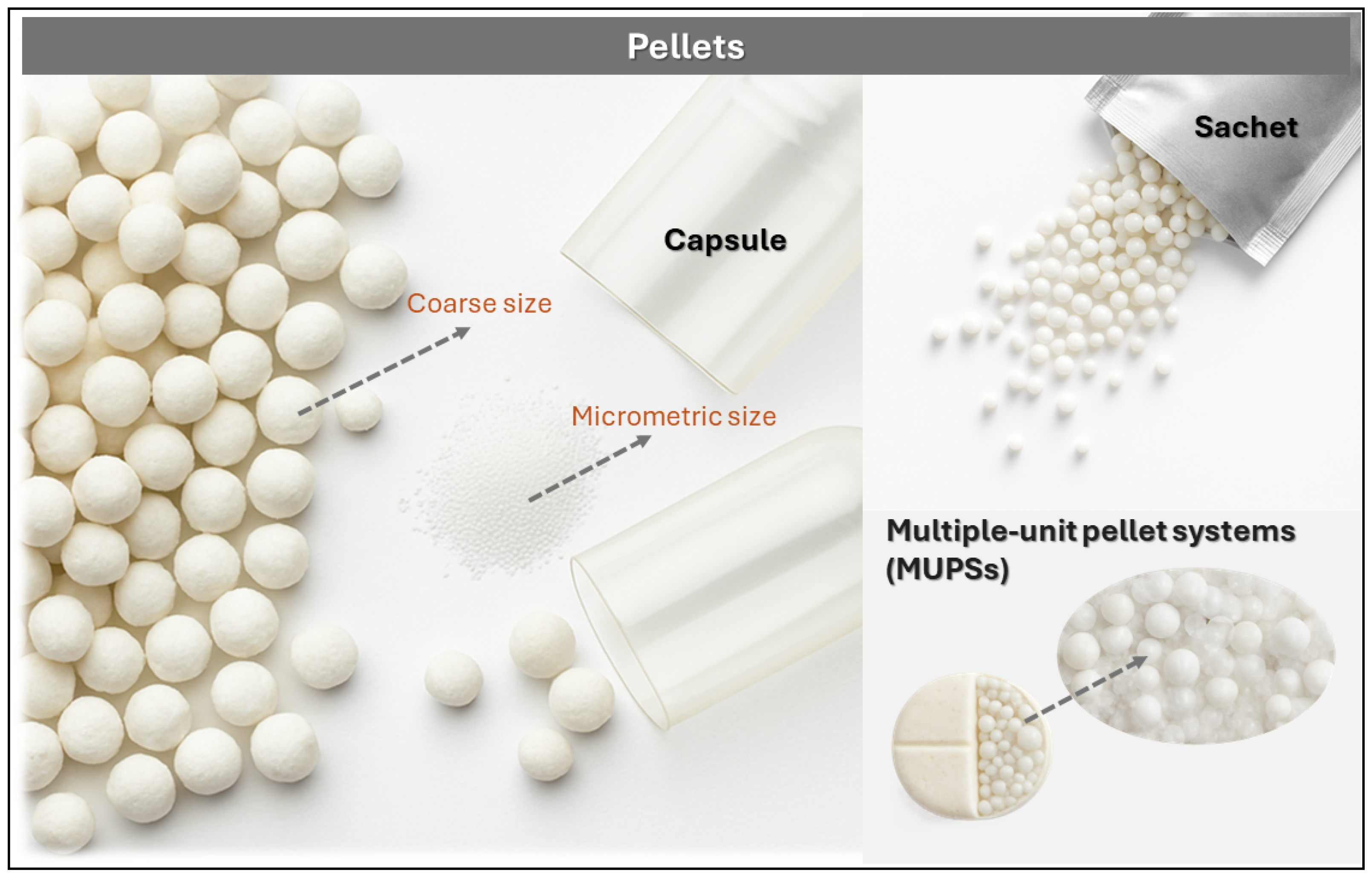 Pharmaceutics 17 01491 g007 Pharmaceutics 17 01491 g007