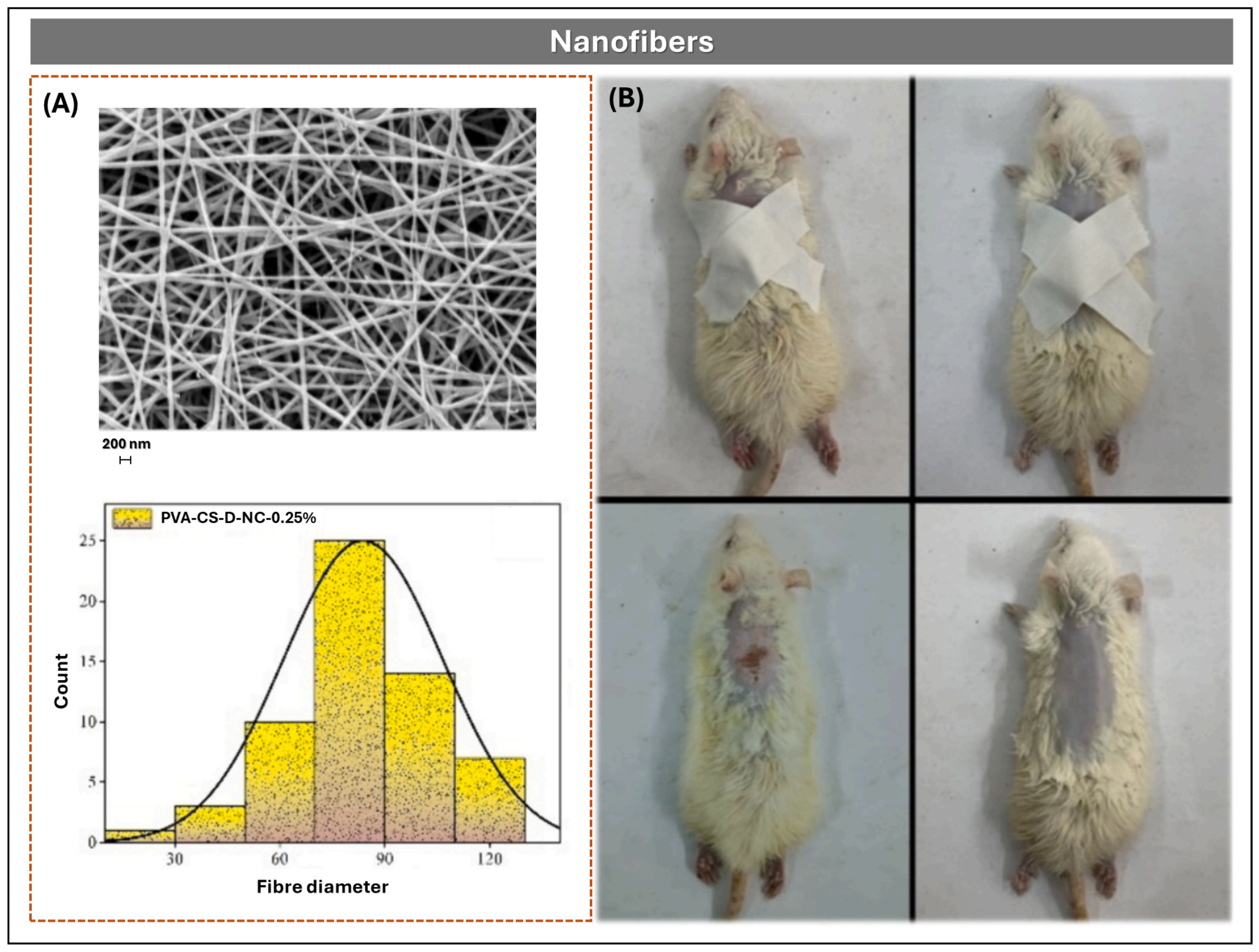Pharmaceutics 17 01491 g008 Pharmaceutics 17 01491 g008