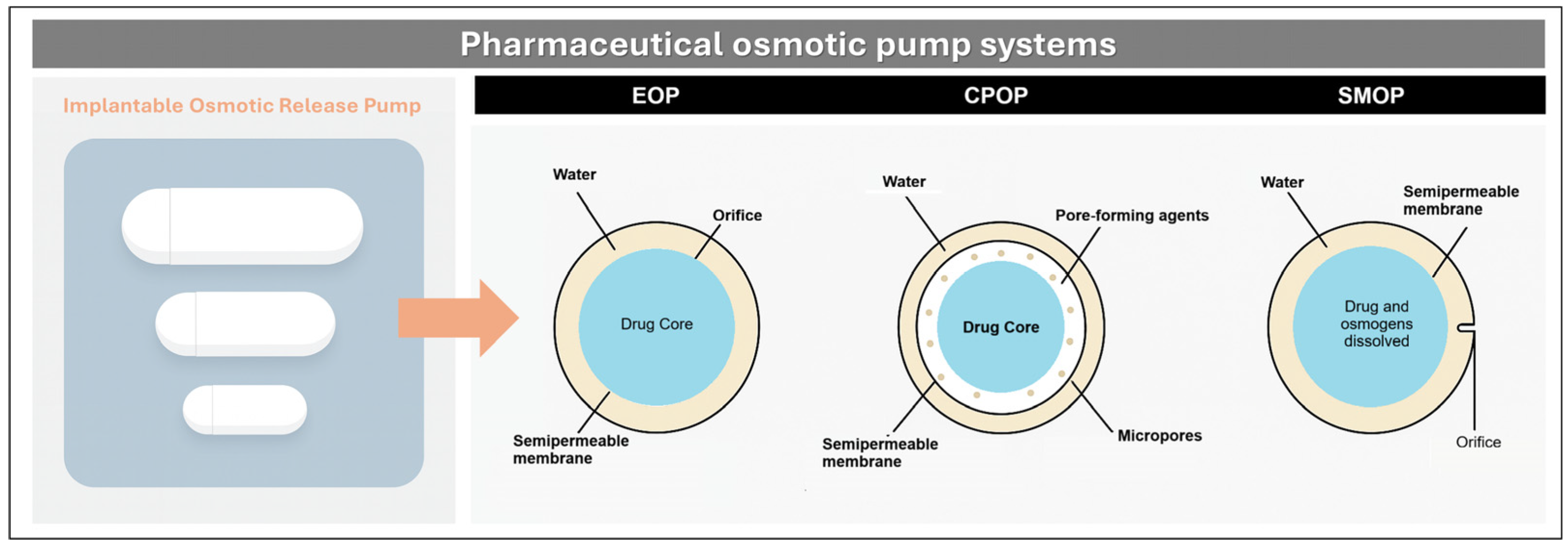 Pharmaceutics 17 01491 g010 Pharmaceutics 17 01491 g010