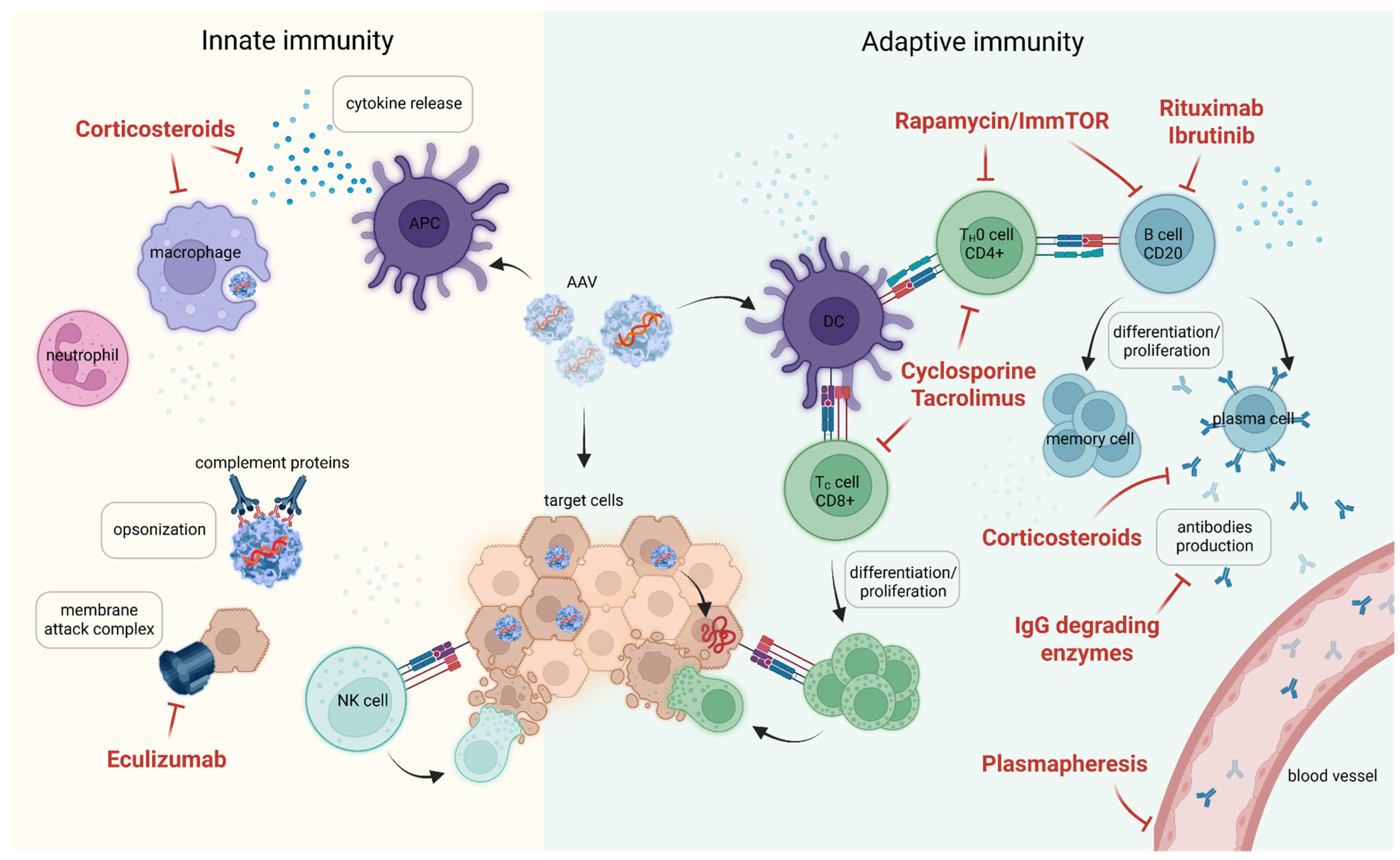 Pharmaceutics 17 01492 g003