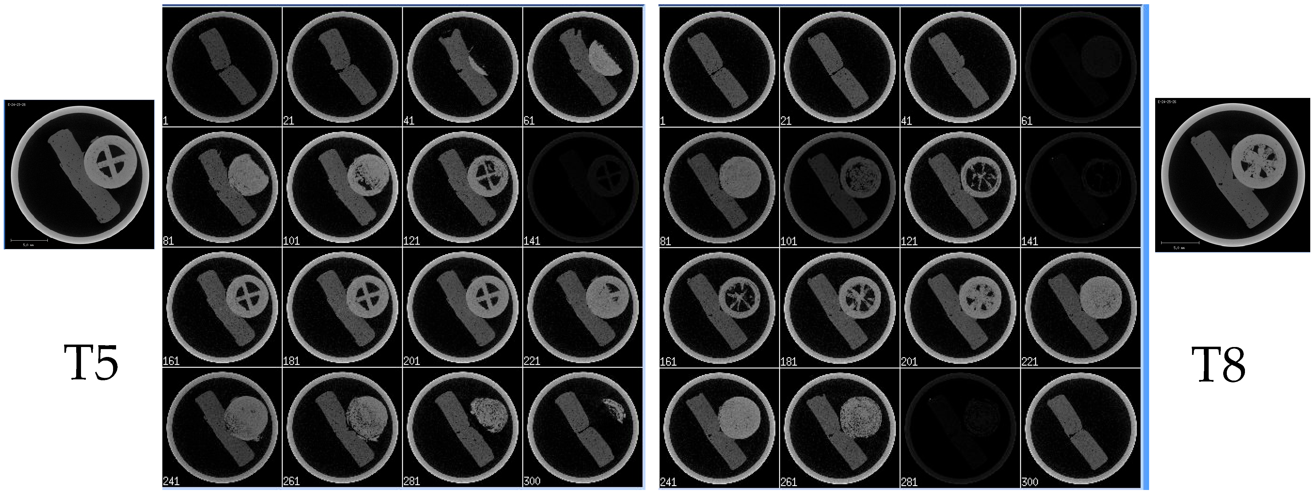 Pharmaceutics 17 01495 g013