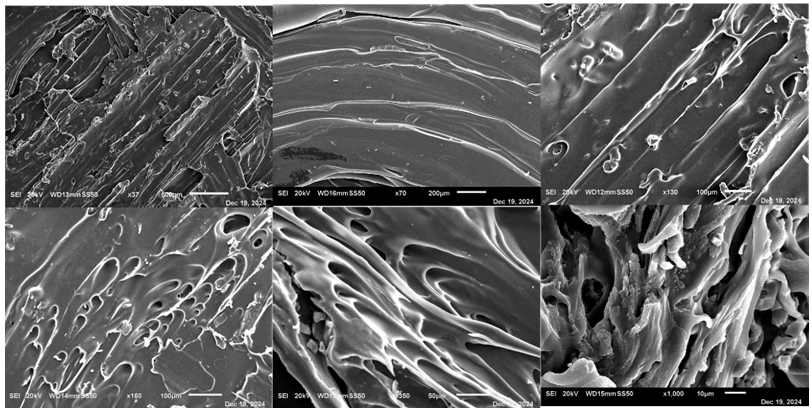 Pharmaceutics 17 01495 g017