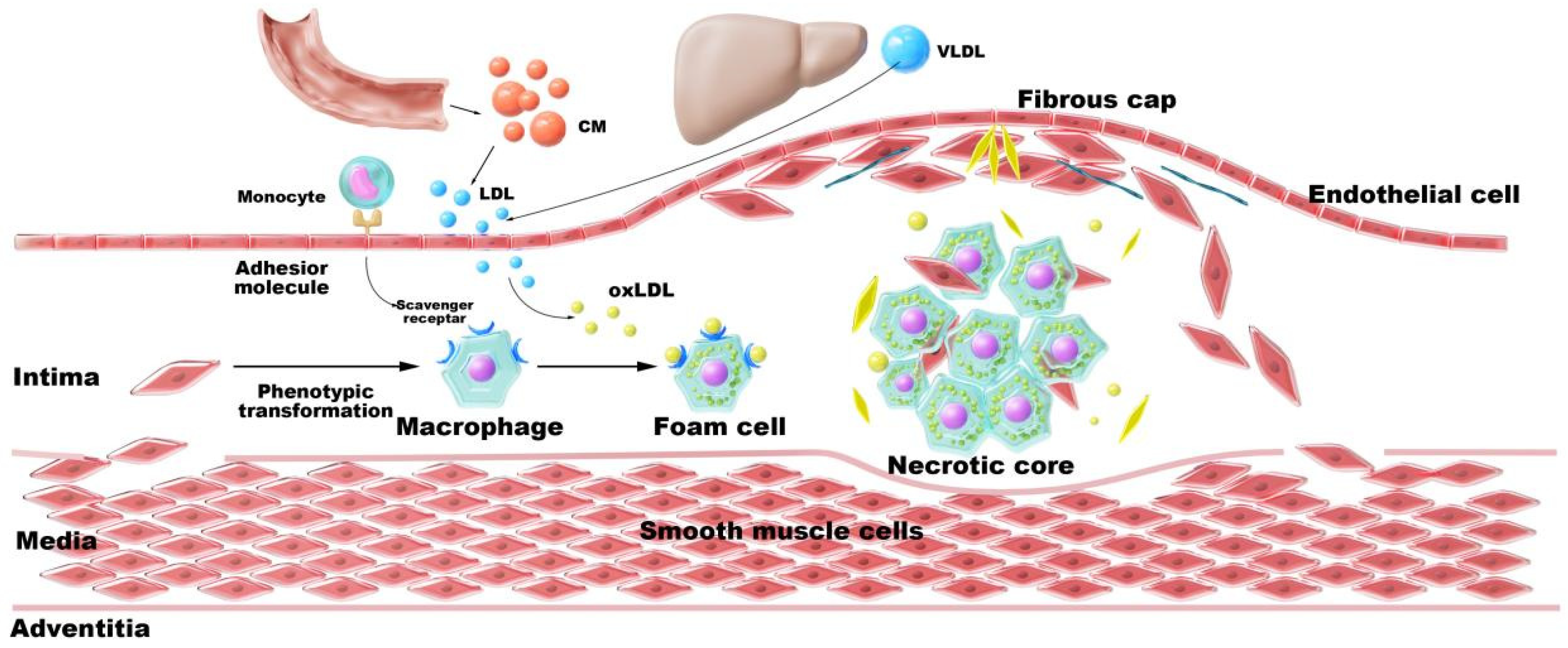 Pharmaceutics 17 01496 g001