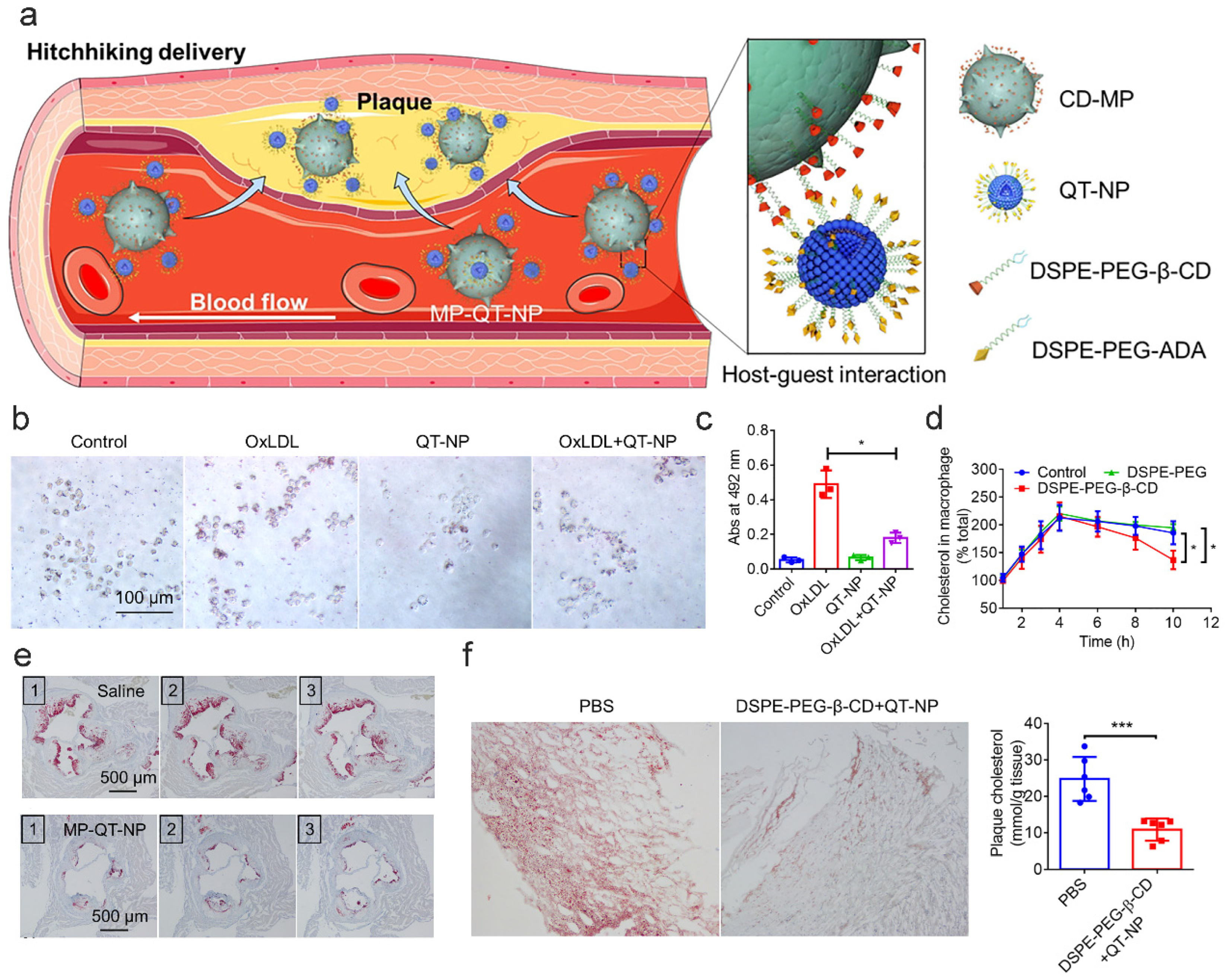 Pharmaceutics 17 01496 g008