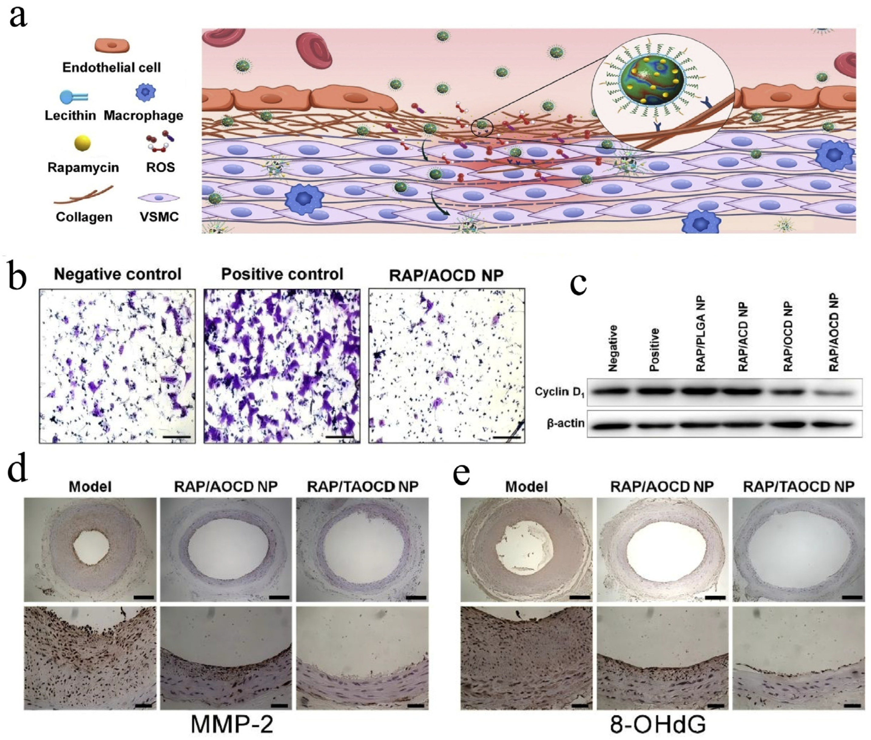 Pharmaceutics 17 01496 g010