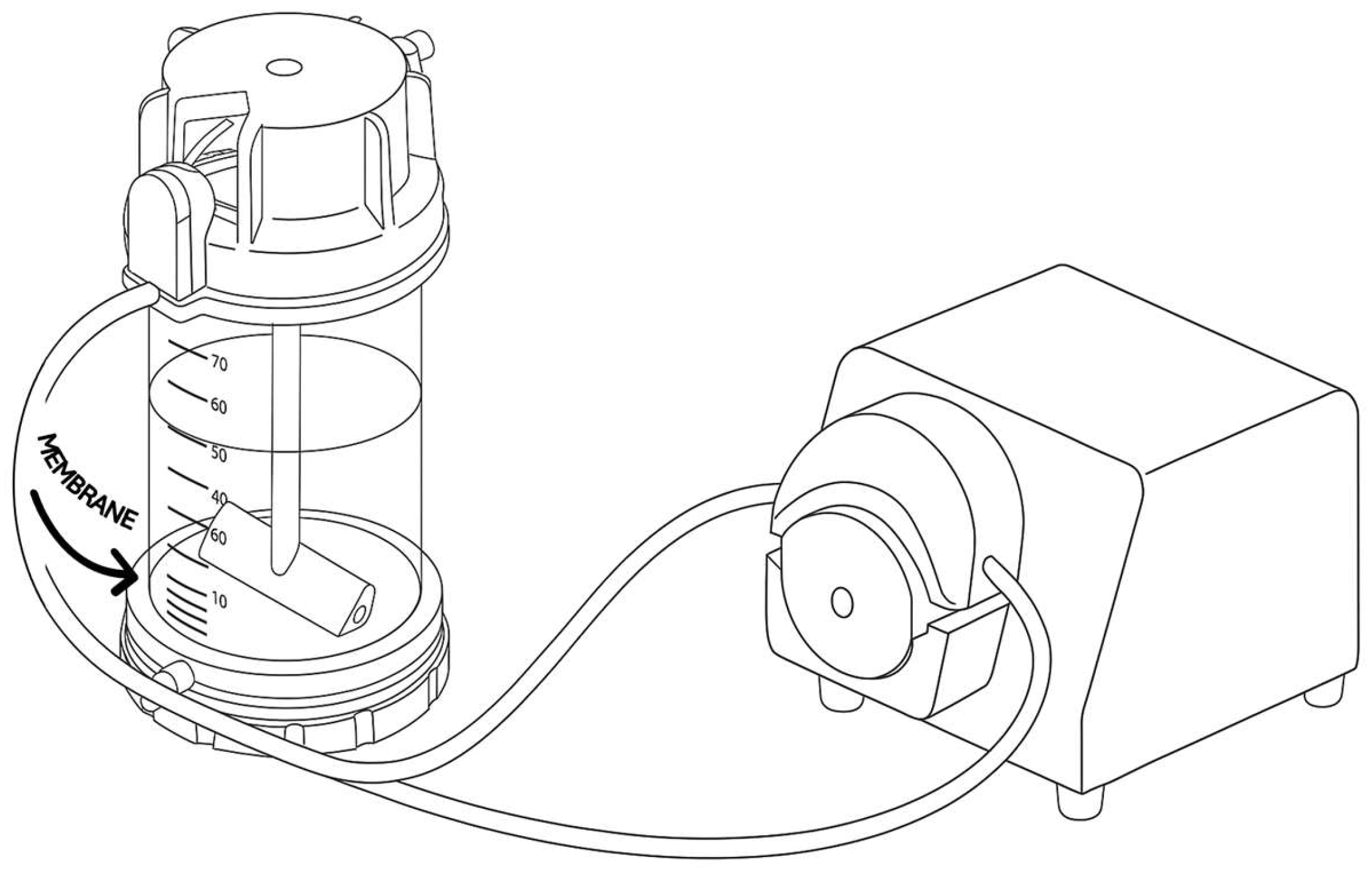 Pharmaceutics 17 01497 g009