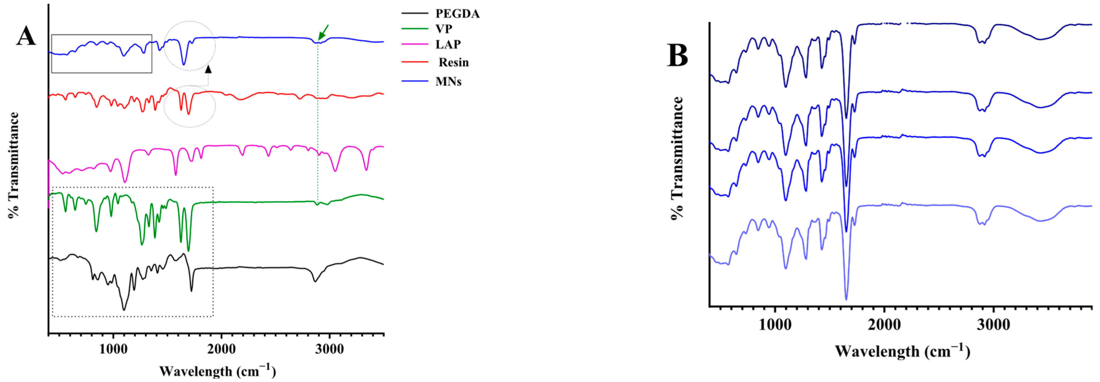 Pharmaceutics 17 01498 g005