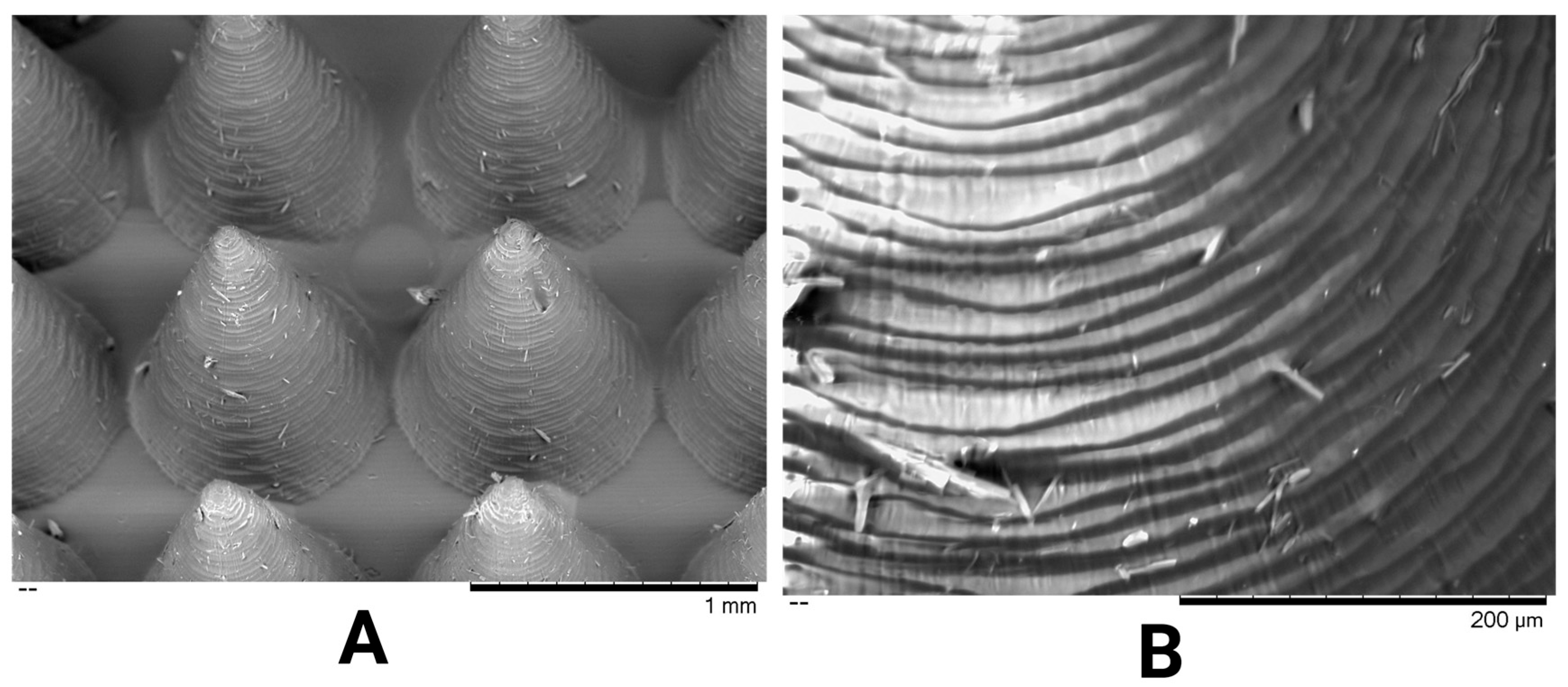Pharmaceutics 17 01498 g010