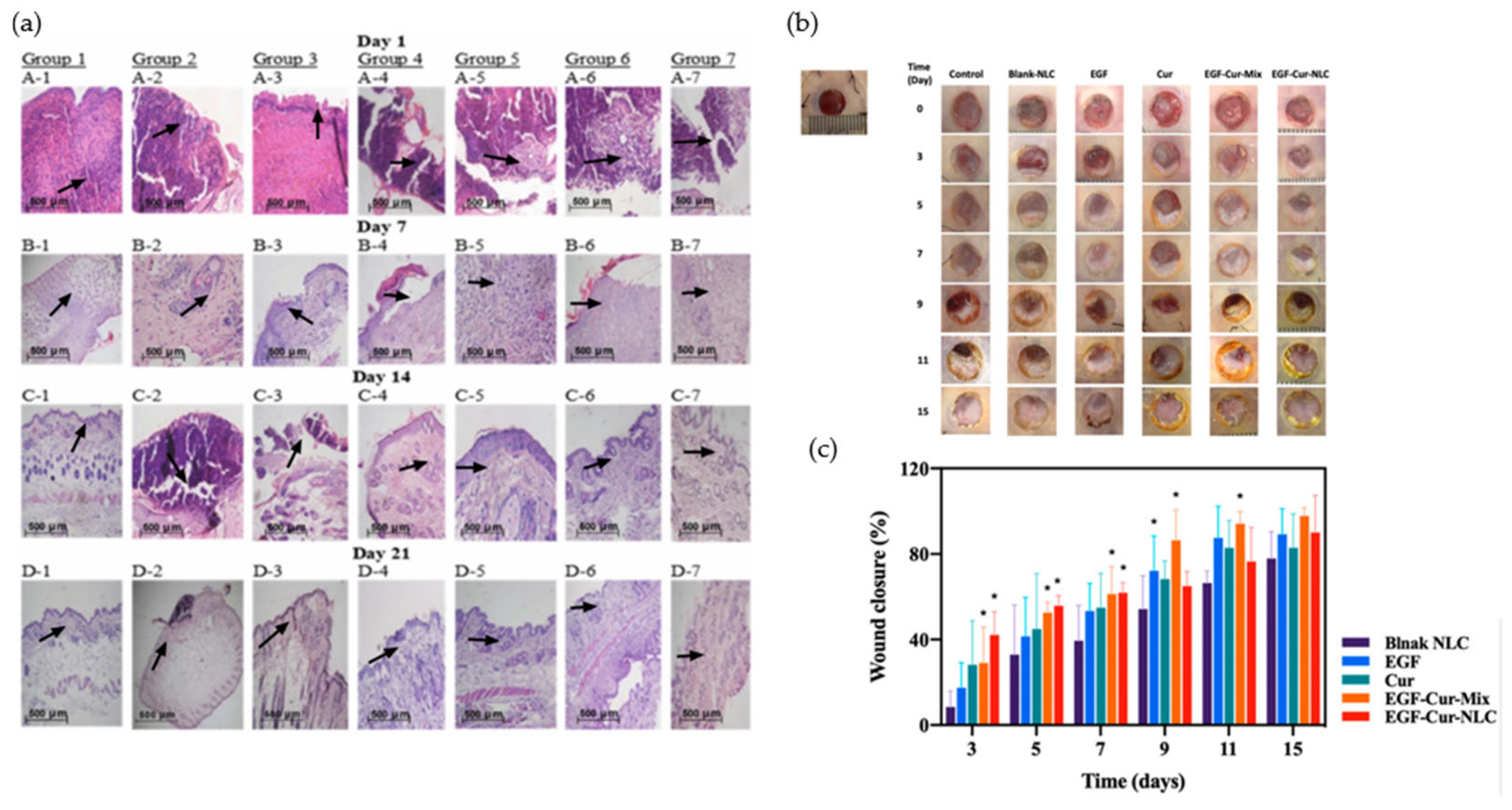 Pharmaceutics 17 01501 g007 Pharmaceutics 17 01501 g007
