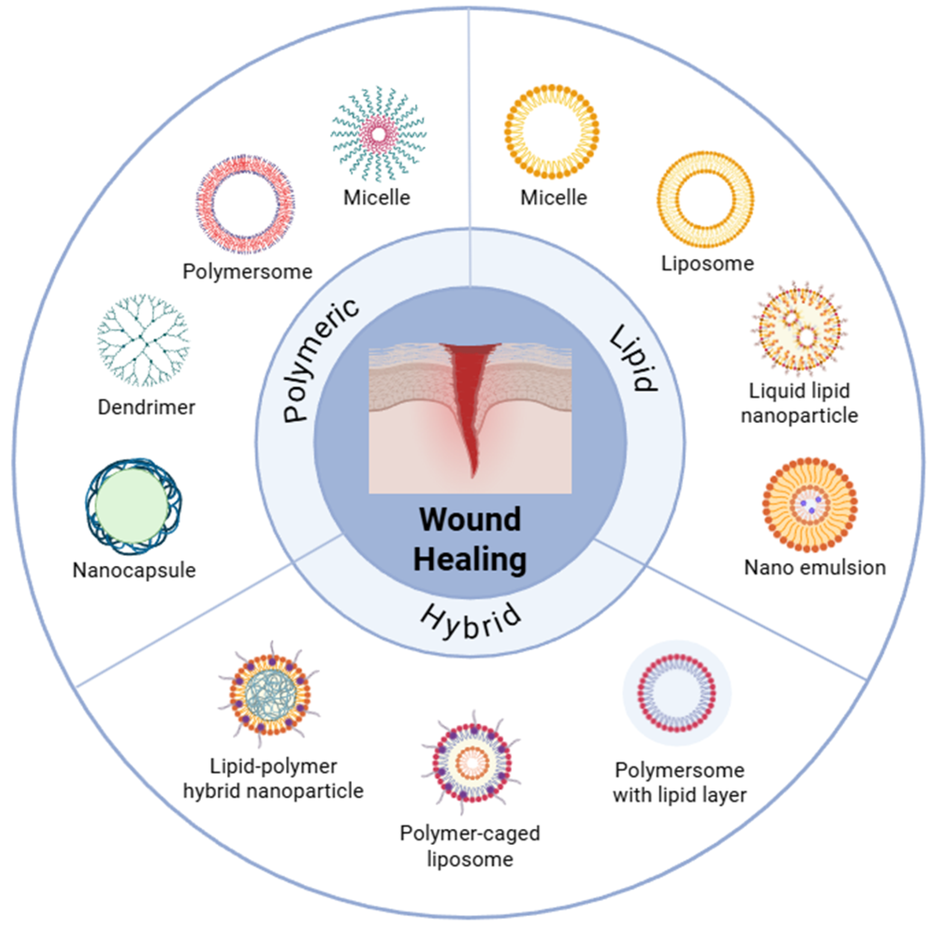 Pharmaceutics 17 01501 sch001 Pharmaceutics 17 01501 sch001