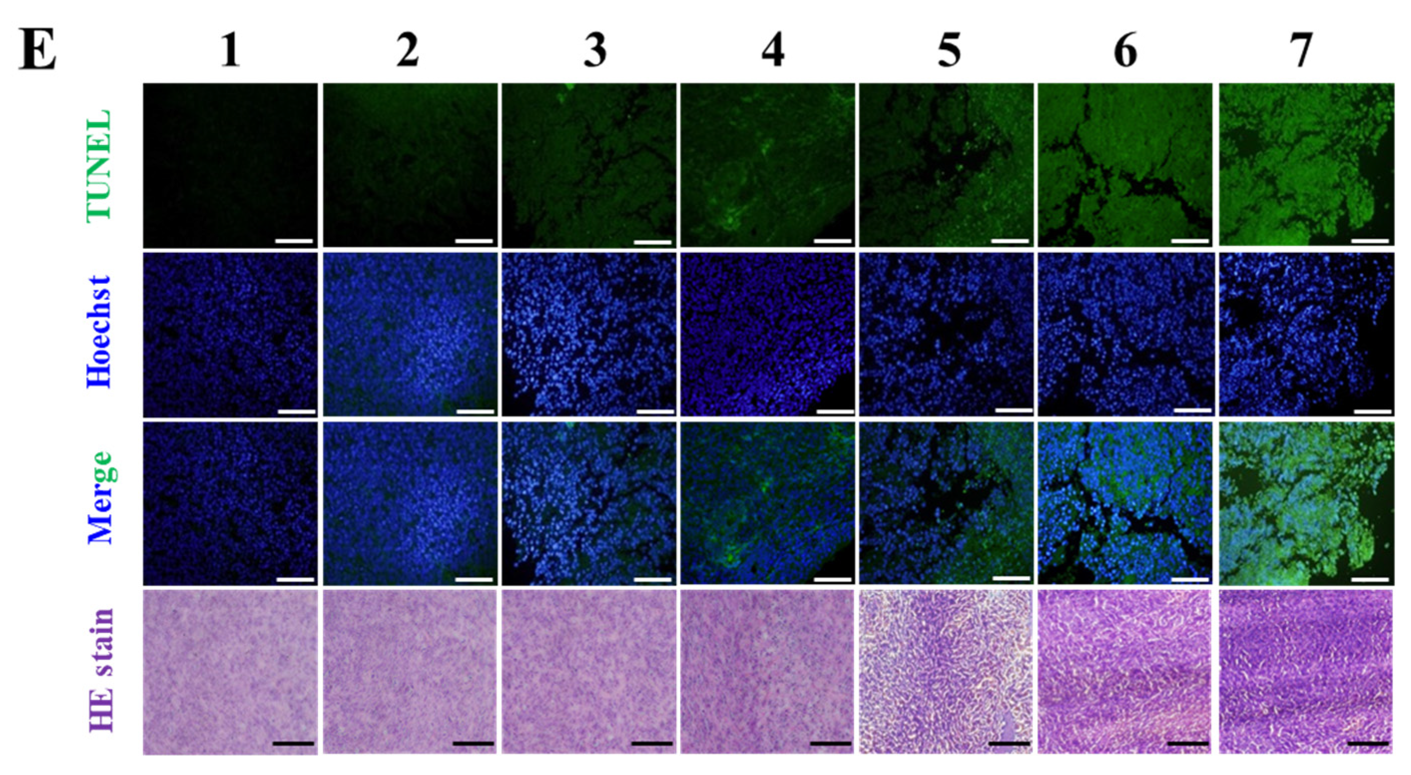 Pharmaceutics 17 01503 g006b