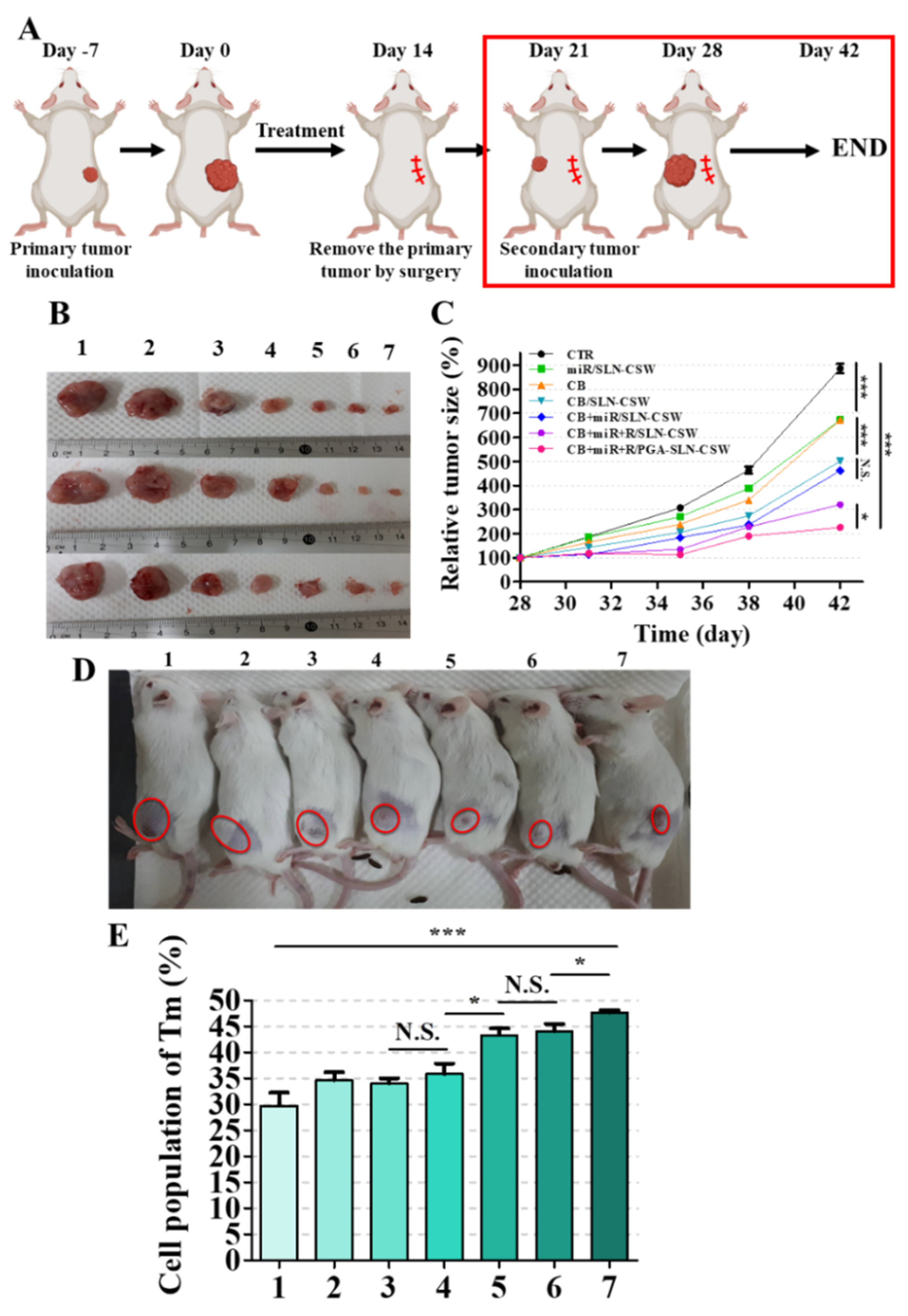 Pharmaceutics 17 01503 g007