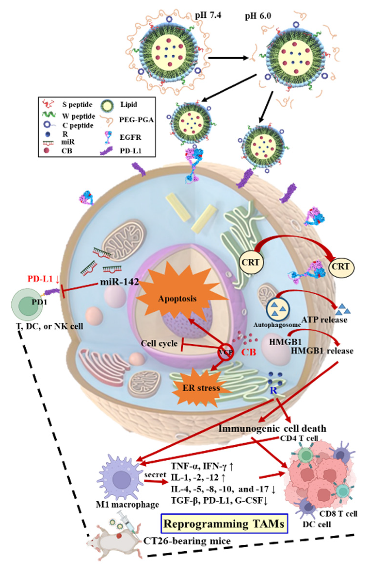 Pharmaceutics 17 01503 sch003