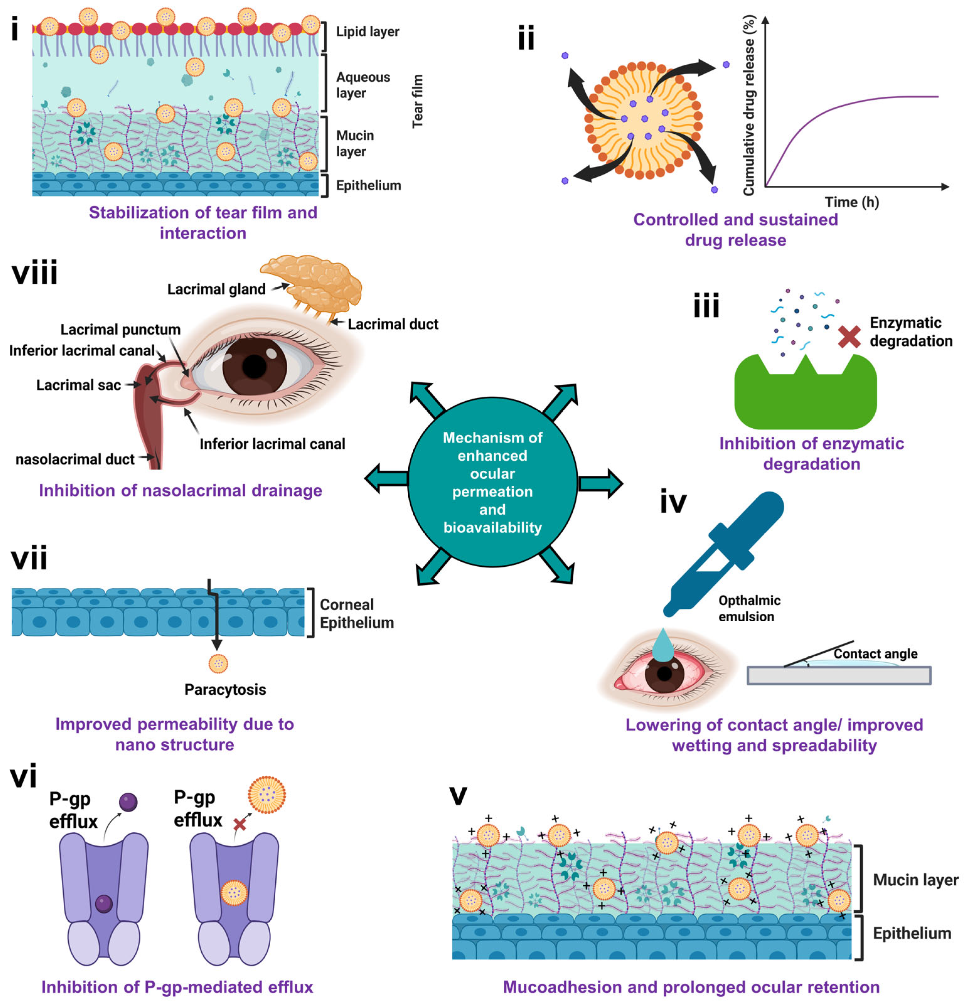 Pharmaceutics 17 01504 g003